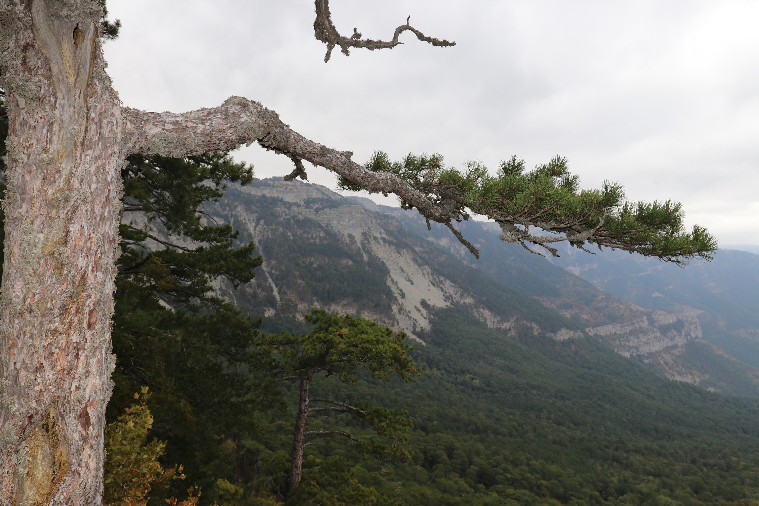 Крым. ЮБК (Фиолент, Ай-Петри, Роман-Кош). Знакомство. Октябрь 2017. Путешественник-фотограф из Санкт-Петербурга Татьяна Свистулина