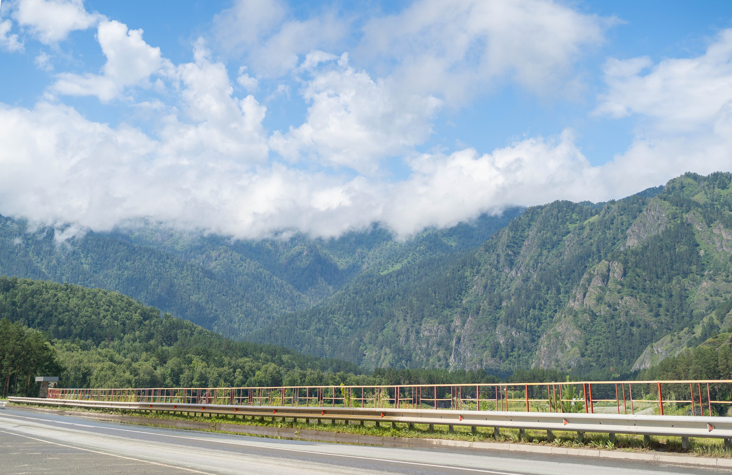 Фотосессия на природе Новосибирск Краснообск