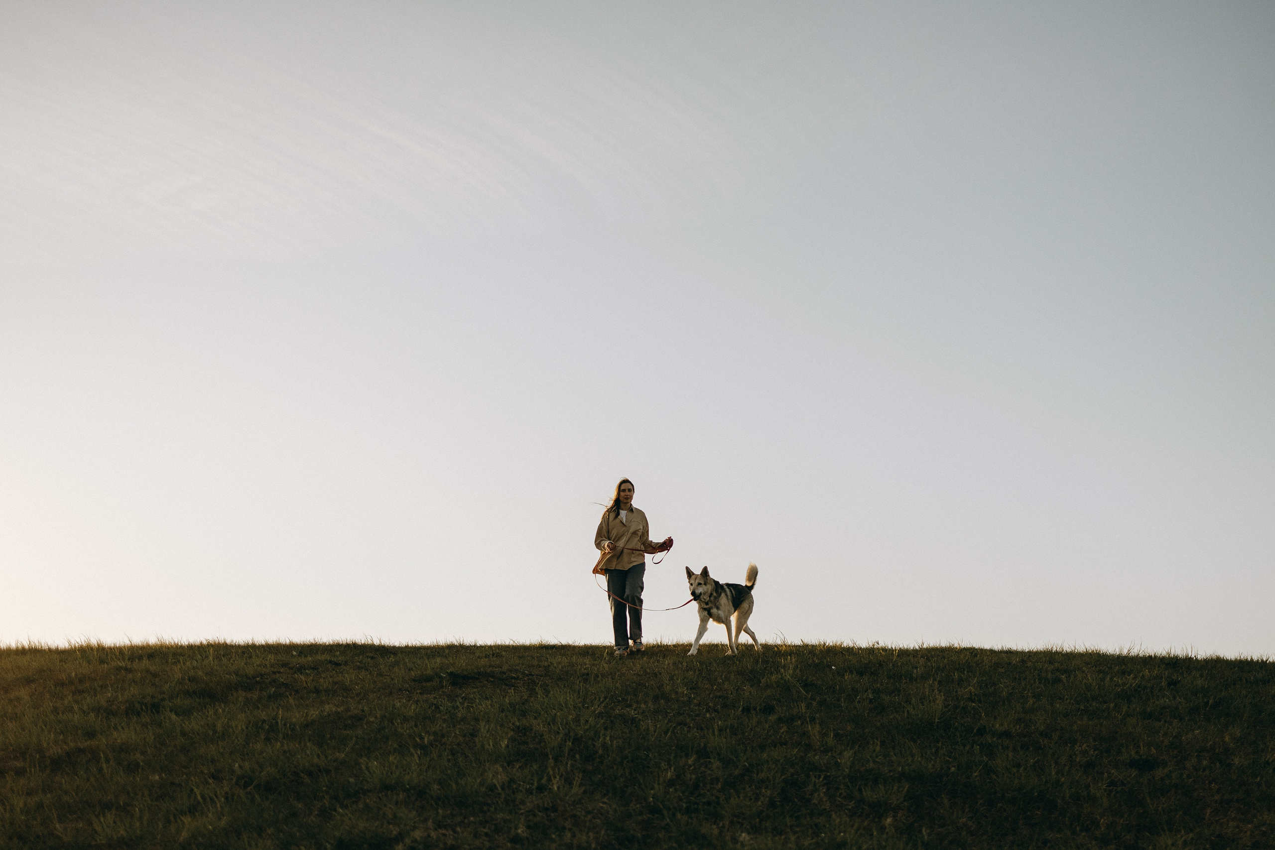 Саша и Зельда. Фотограф — Анималист | Санкт-Петербург