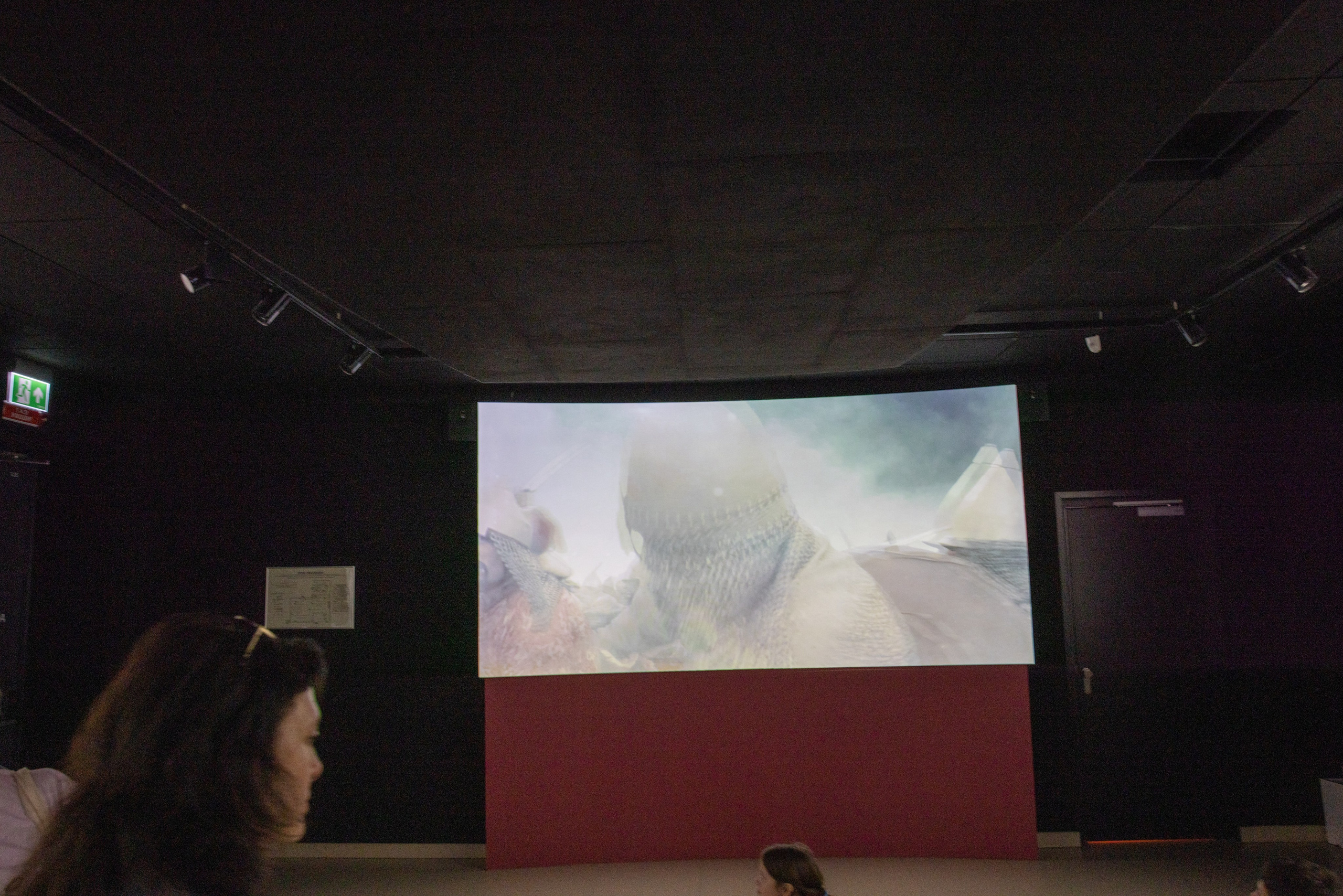 Поездка на поле Кулеково. Фотограф в Туле Крупский АнДРей. Фотостудия «КАДР71» в Туле