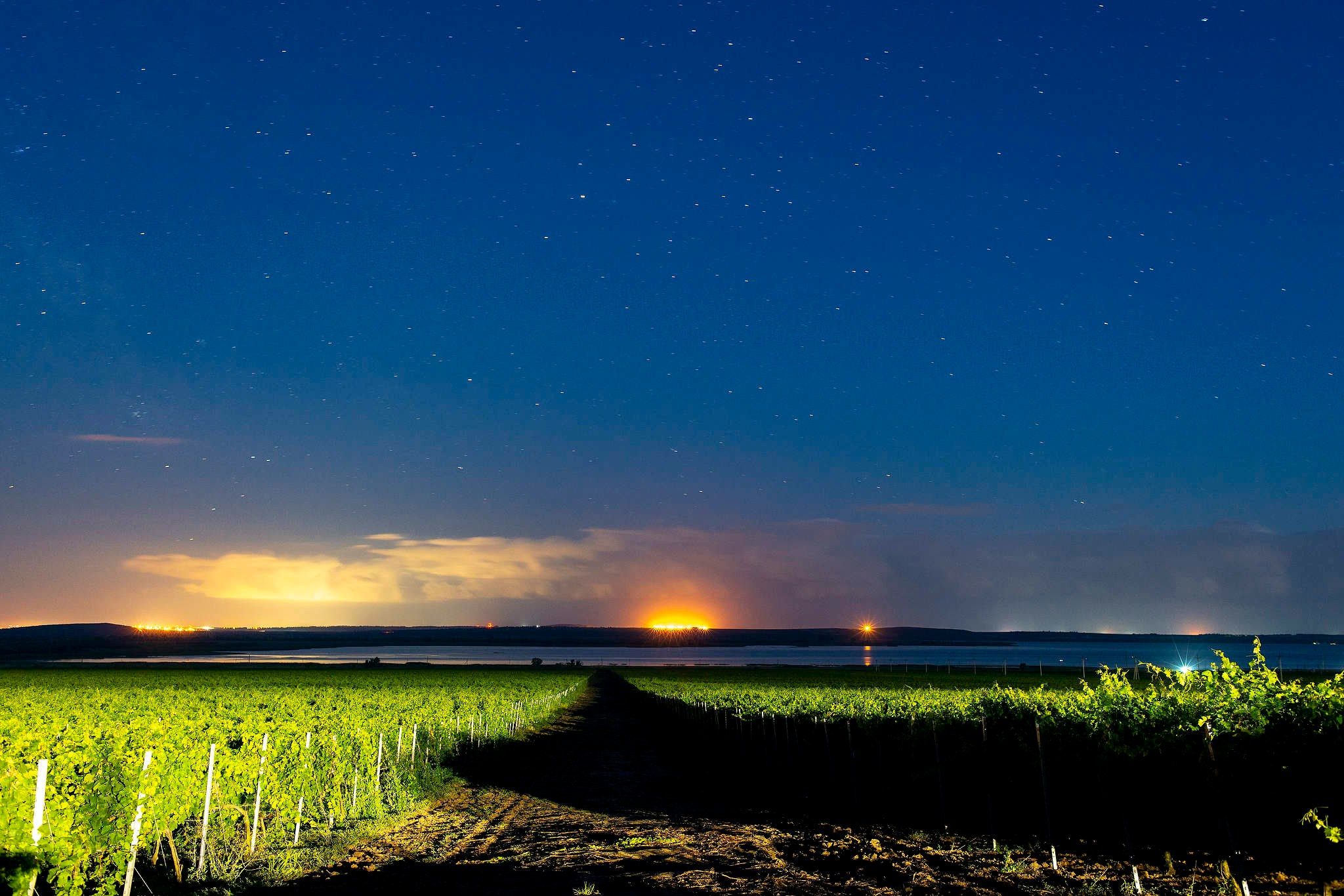 Винодельни Краснодарского края. Фотограф Михаил Мордасов, Сочи. Мероприятия, портреты, спорт, репортаж