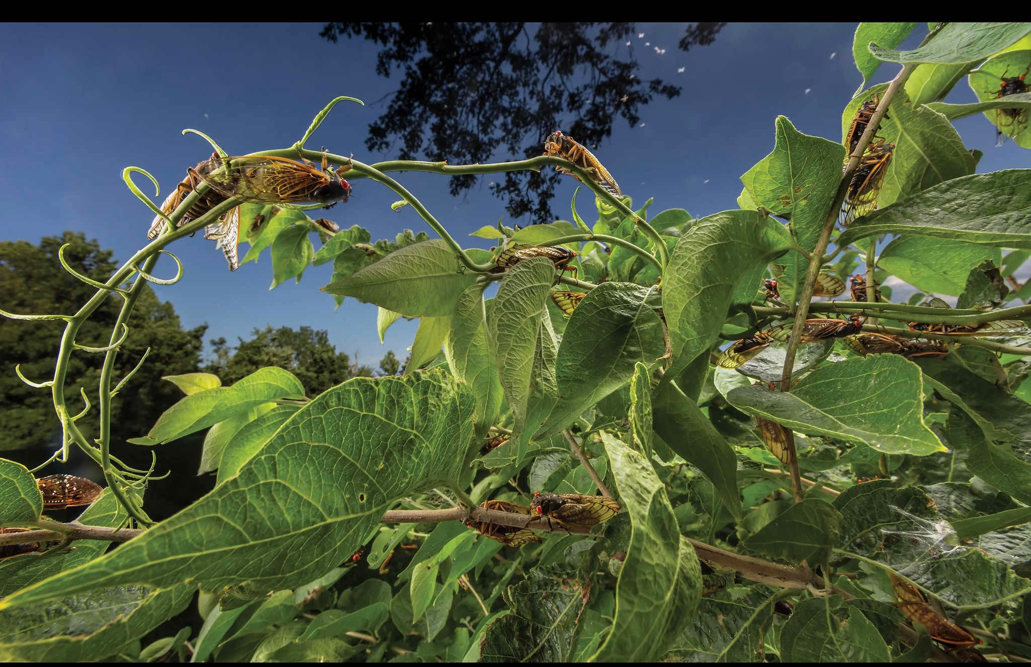 2024 год в объективе фотографов National Geographic. Фотограф Михаил Мордасов, Сочи. Мероприятия, портреты, спорт, репортаж