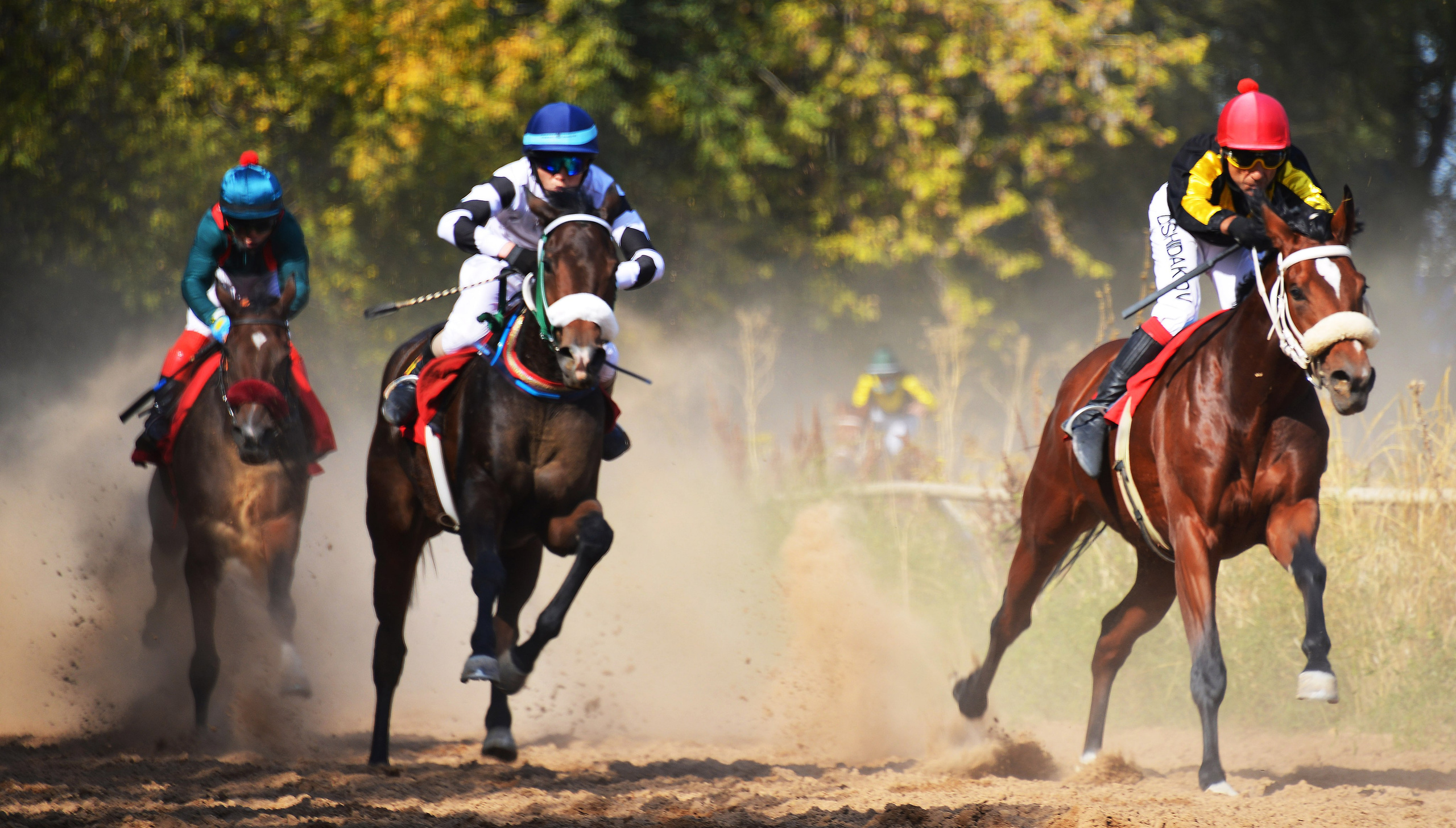 Скачки. Фотосъёмка. Фотограф Сергей Авдеев-семейный и детский фотограф в Алматы