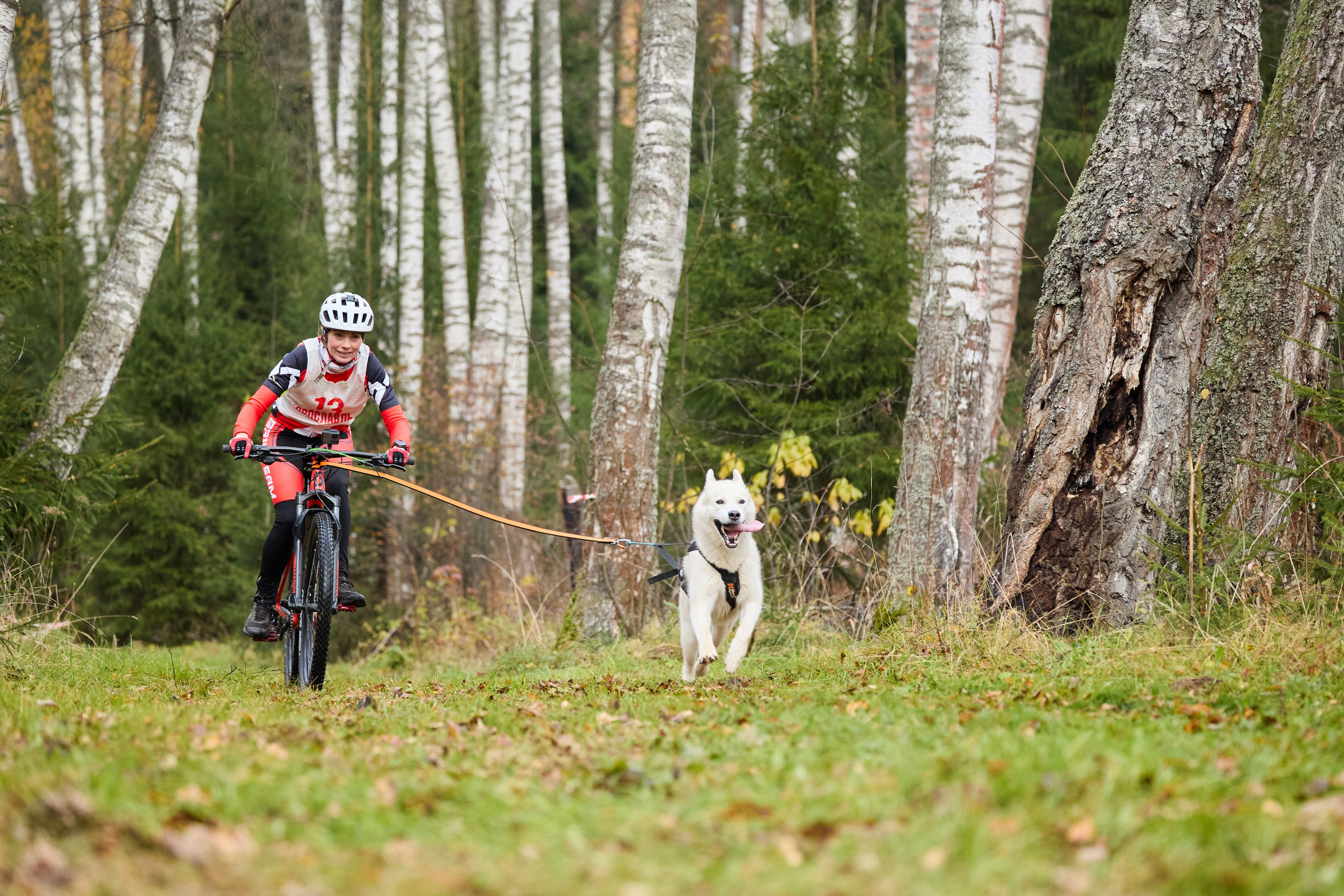 Чемпионат по ЕС Ярославской области. Фотограф Ирина Астор