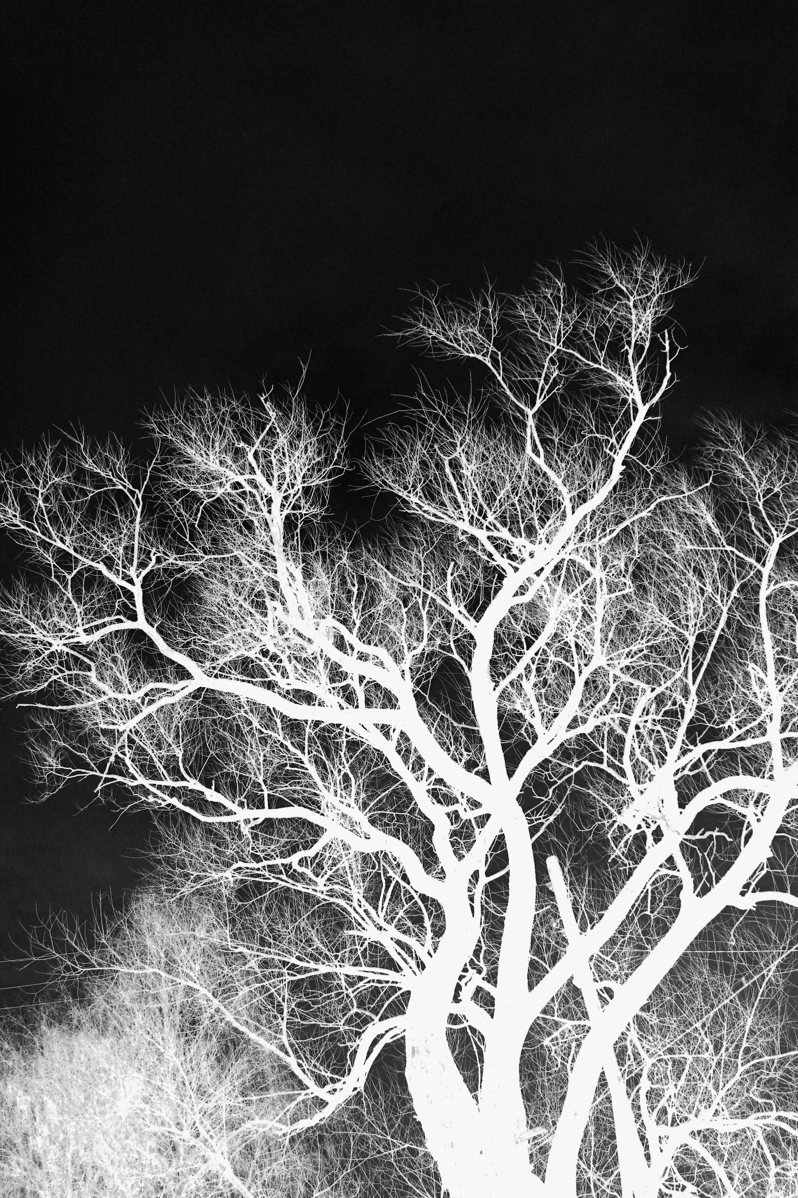 КОЛЛАЖ. Главная