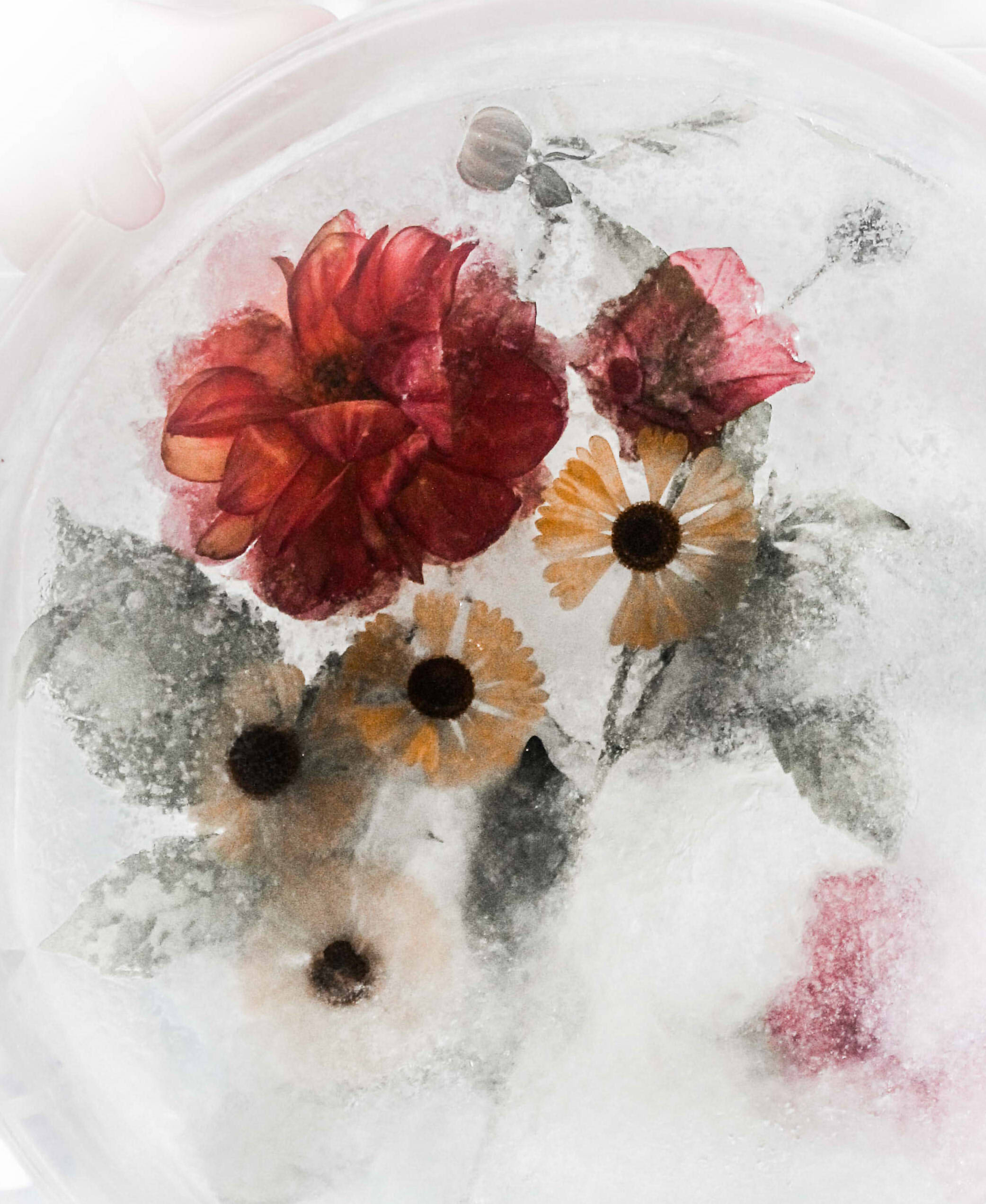 КОЛЛАЖ. Главная