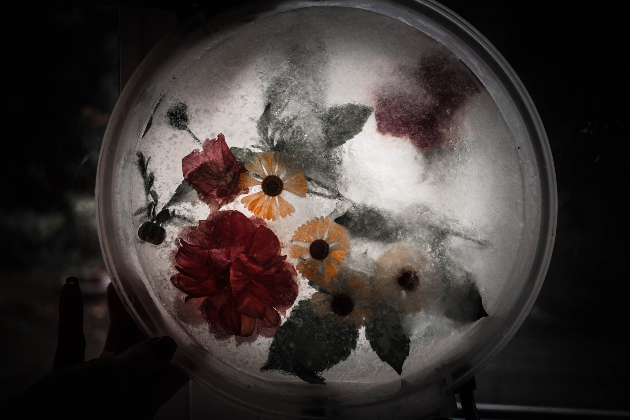 КОЛЛАЖ. Главная