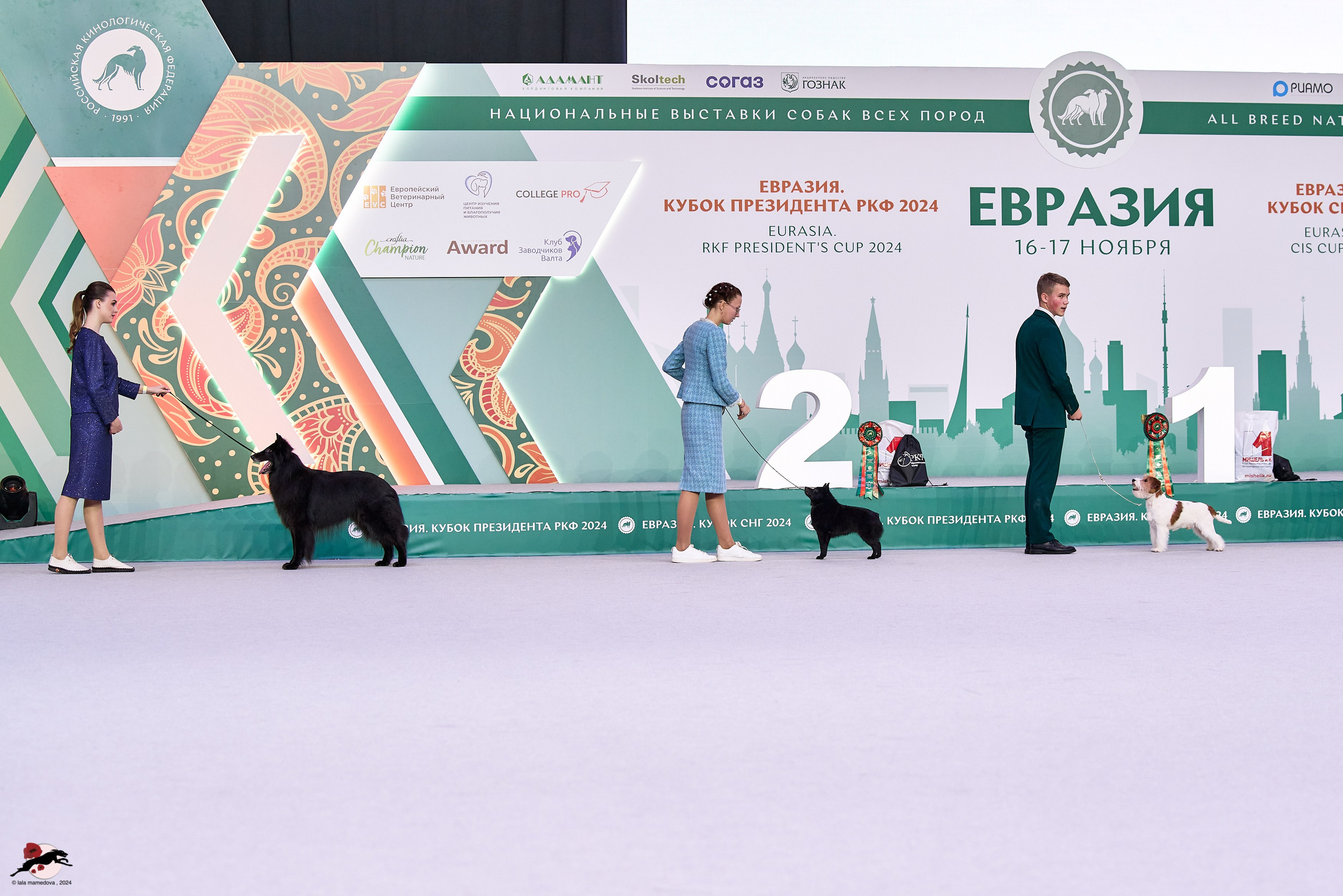 17.11.2024 «ЕВРАЗИЯ. КУБОК СНГ 2024»