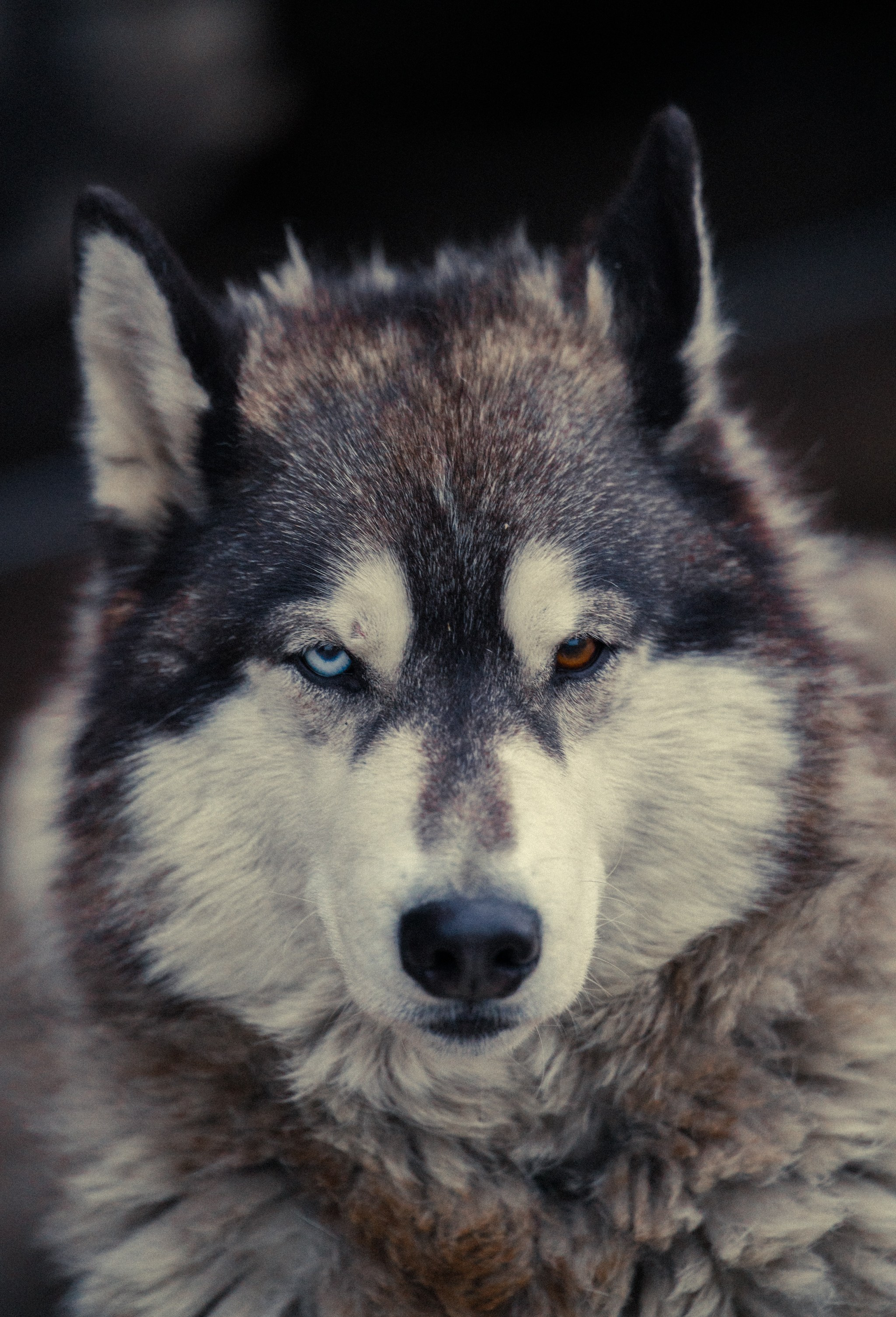 Уральские горы, Октябрь 2024