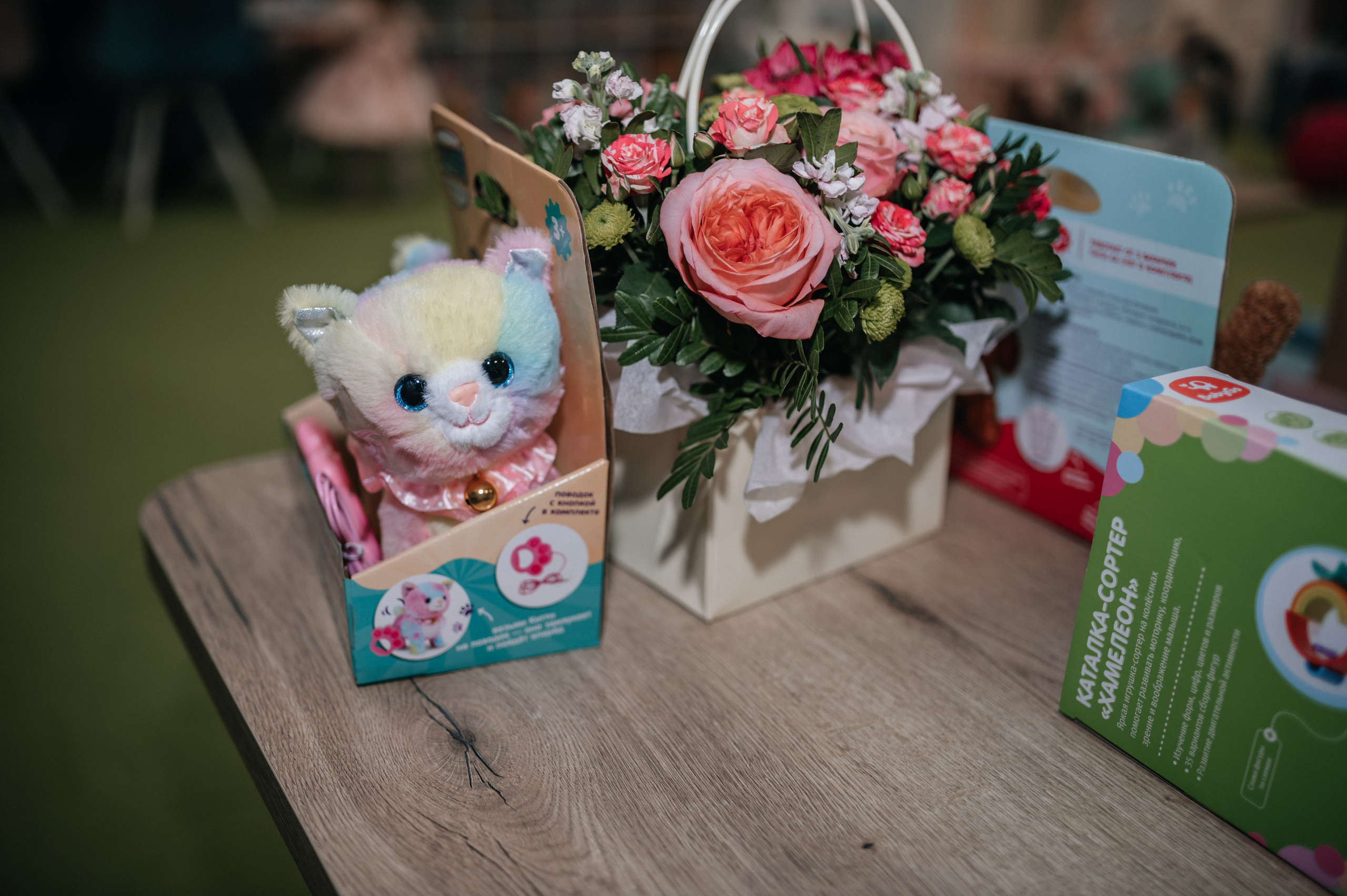 День Рождения Василисы и Стеши, 2025. Главная