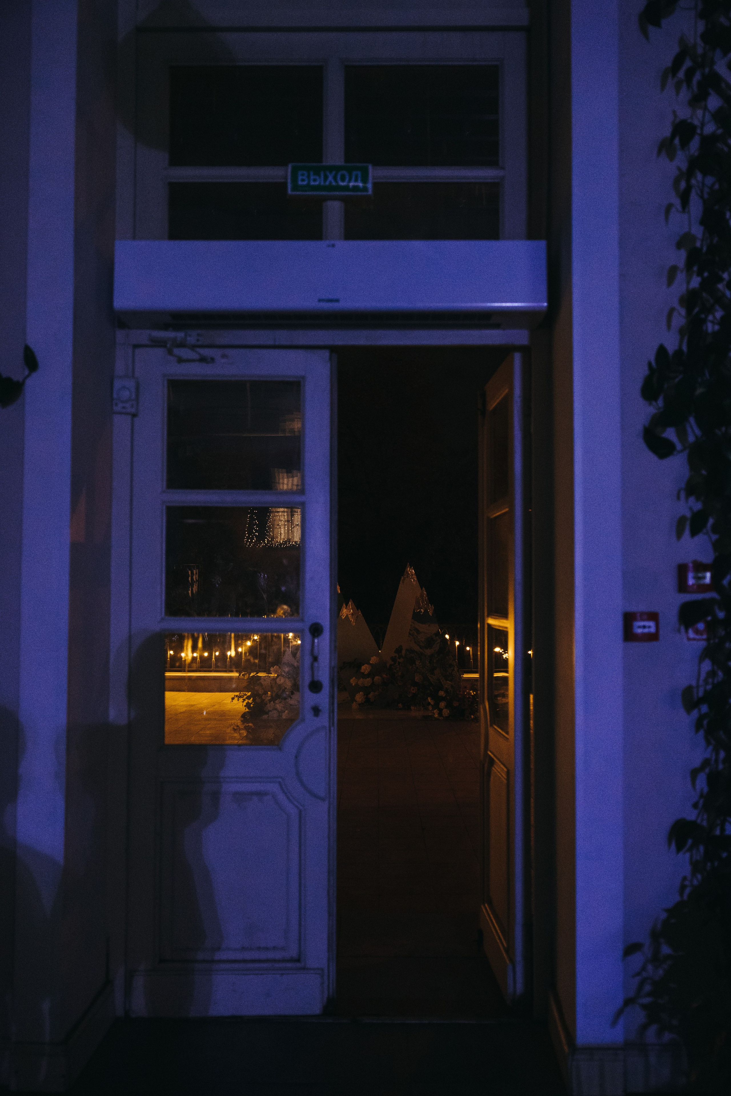 Свадебная фотосессия в парке Царицыно, Банкет в ресторане Пантеон. Свадебный фотограф Москва Анастасия Храмова