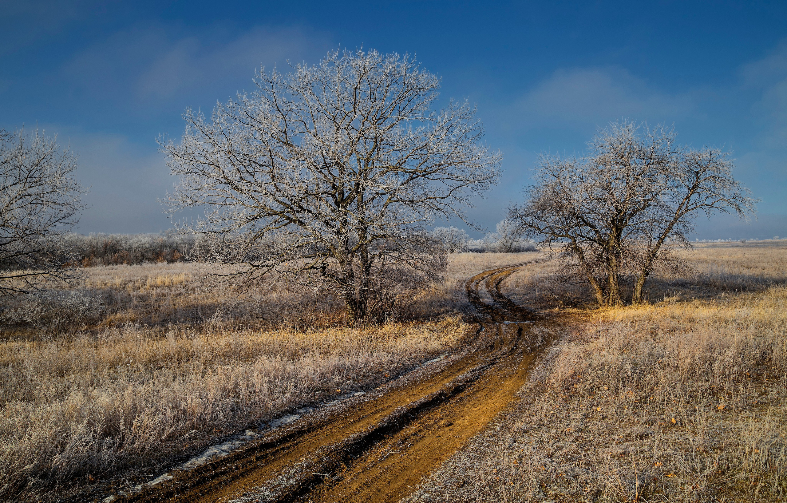 Природа. Макс По — фото и видео съемки любого формата