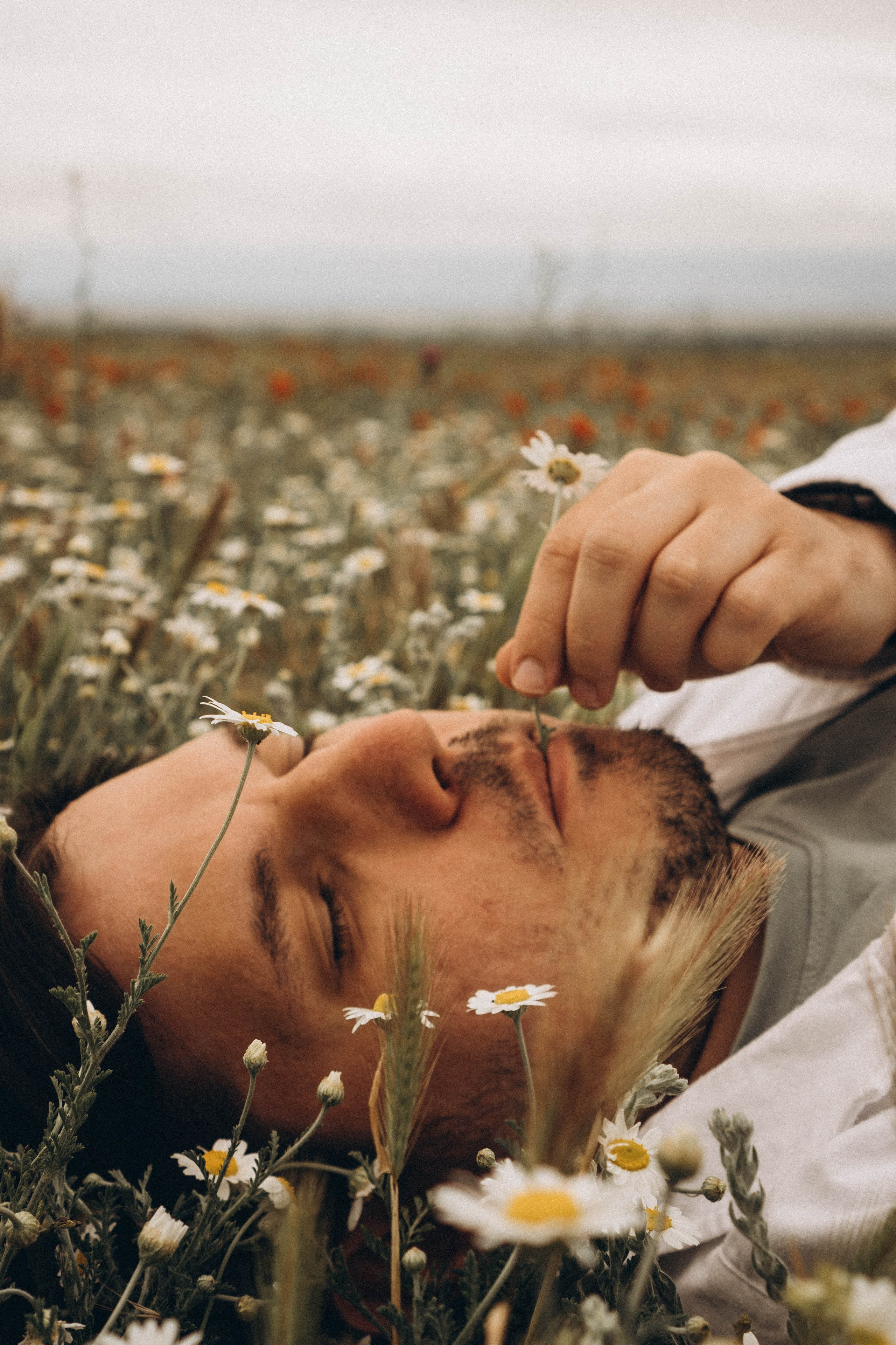 Маки. Профессиональный фотограф, Санкт-Петербург — Виктория Богомолова