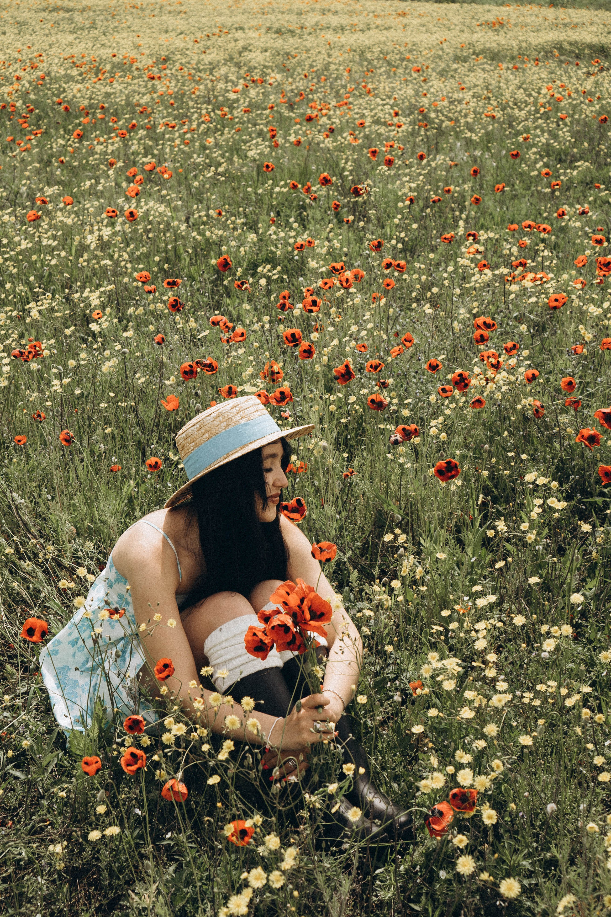 Цветочная поляна. Профессиональный фотограф, Санкт-Петербург — Виктория Богомолова