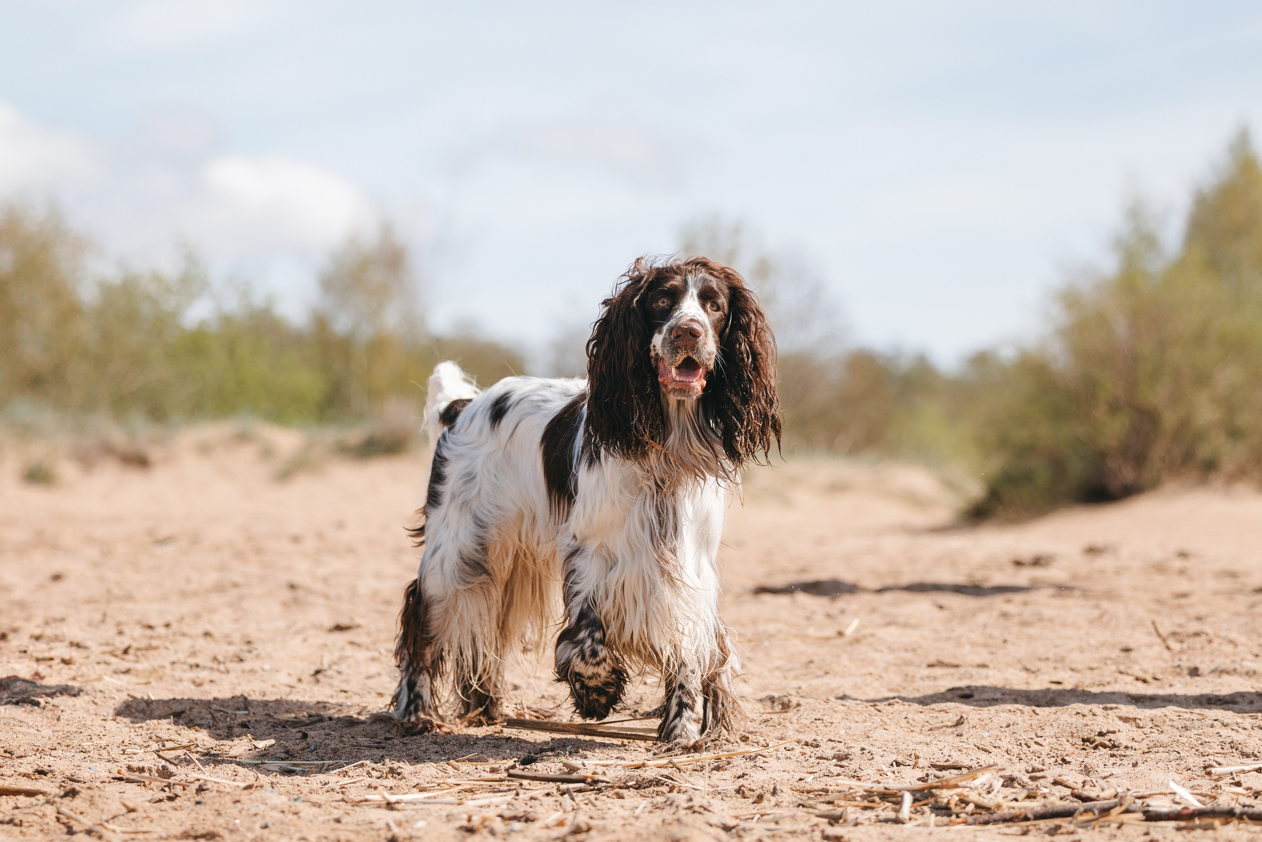 Спанимания. Фотограф анималист Осипчикова Мария