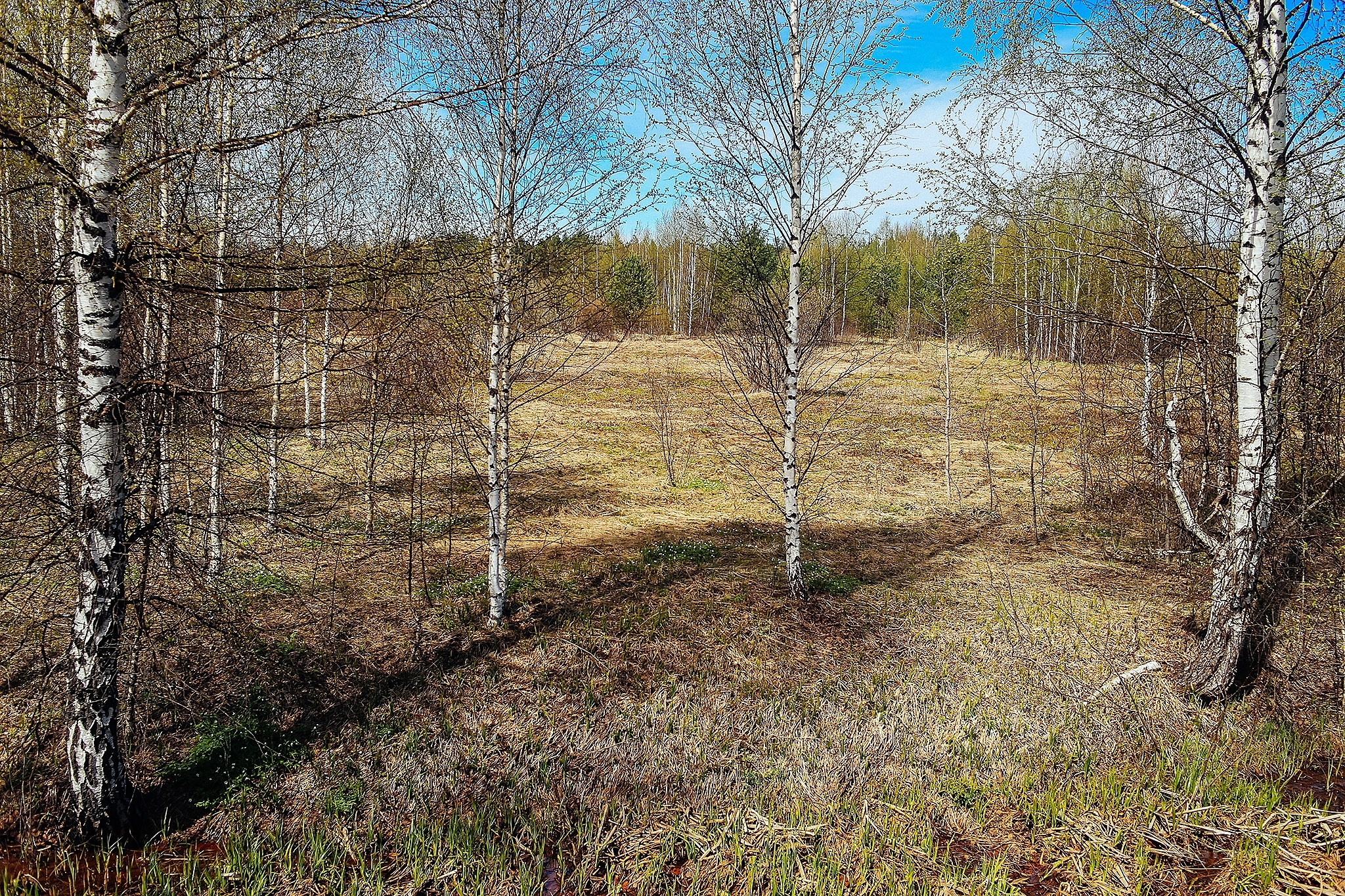 Русская деревня. Детский и семейный фотограф, фотограф мероприятий Нижний Новгород