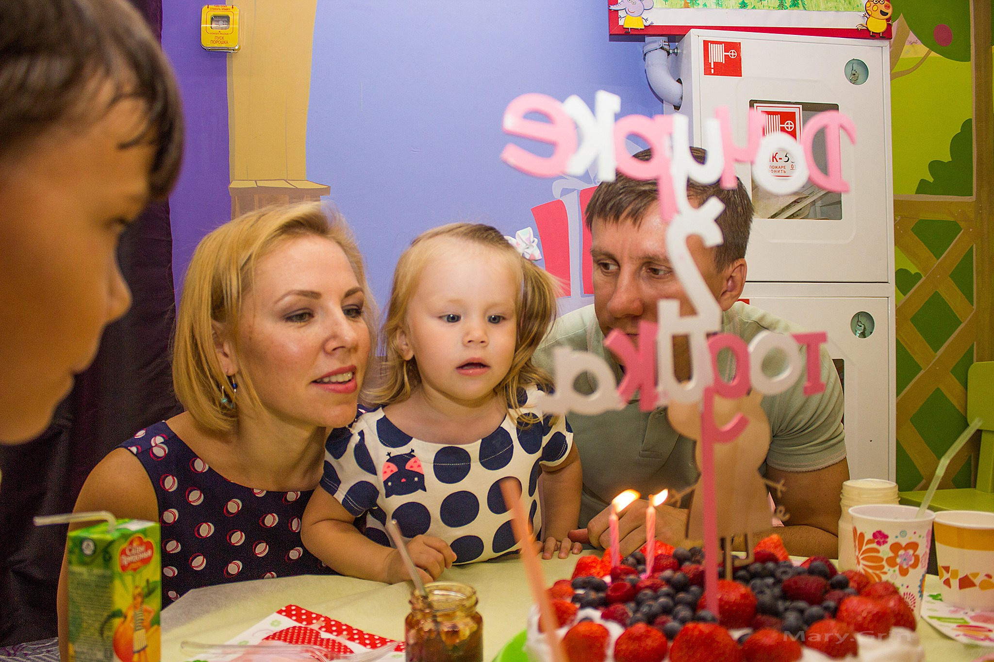 День рождения в стиле свинки Пеппа в Изумрудном городе. Детский и семейный фотограф, фотограф мероприятий Нижний Новгород