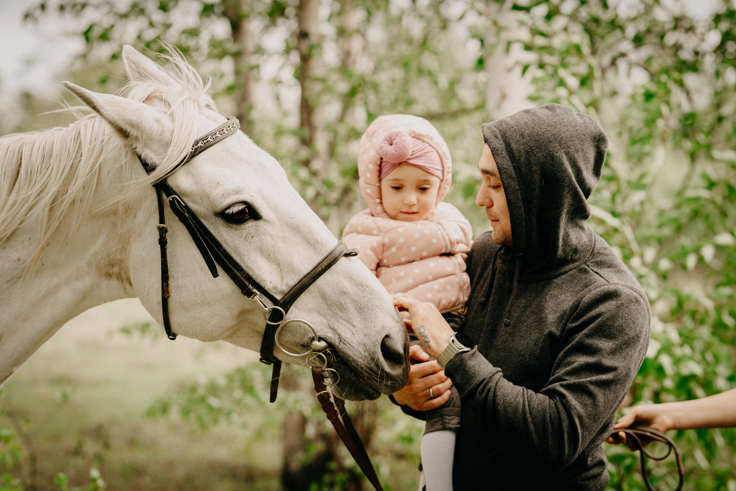 С лошадьми. Главная