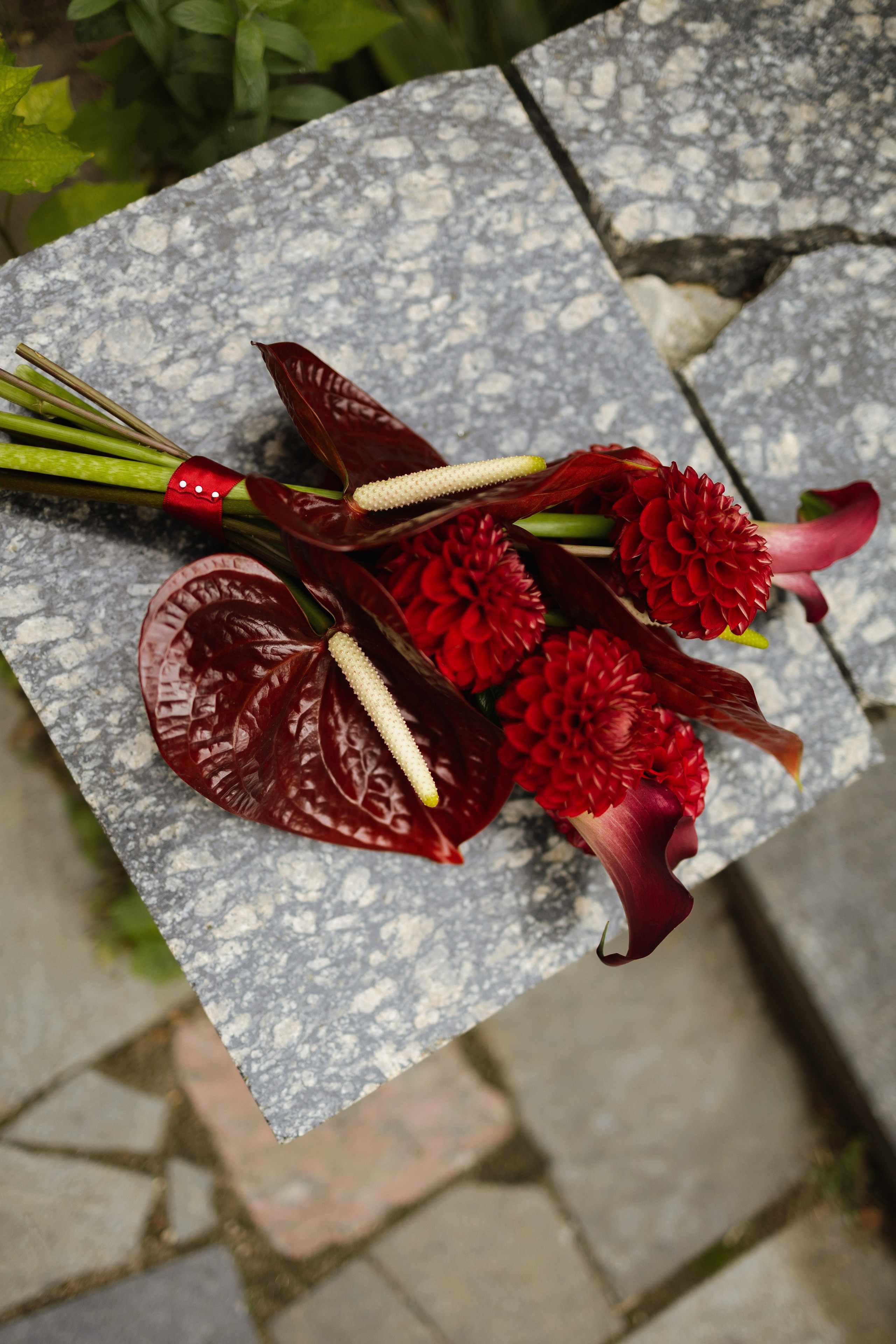 I&M. Свадебный фотограф Лиза Макатович Беларусь Минск