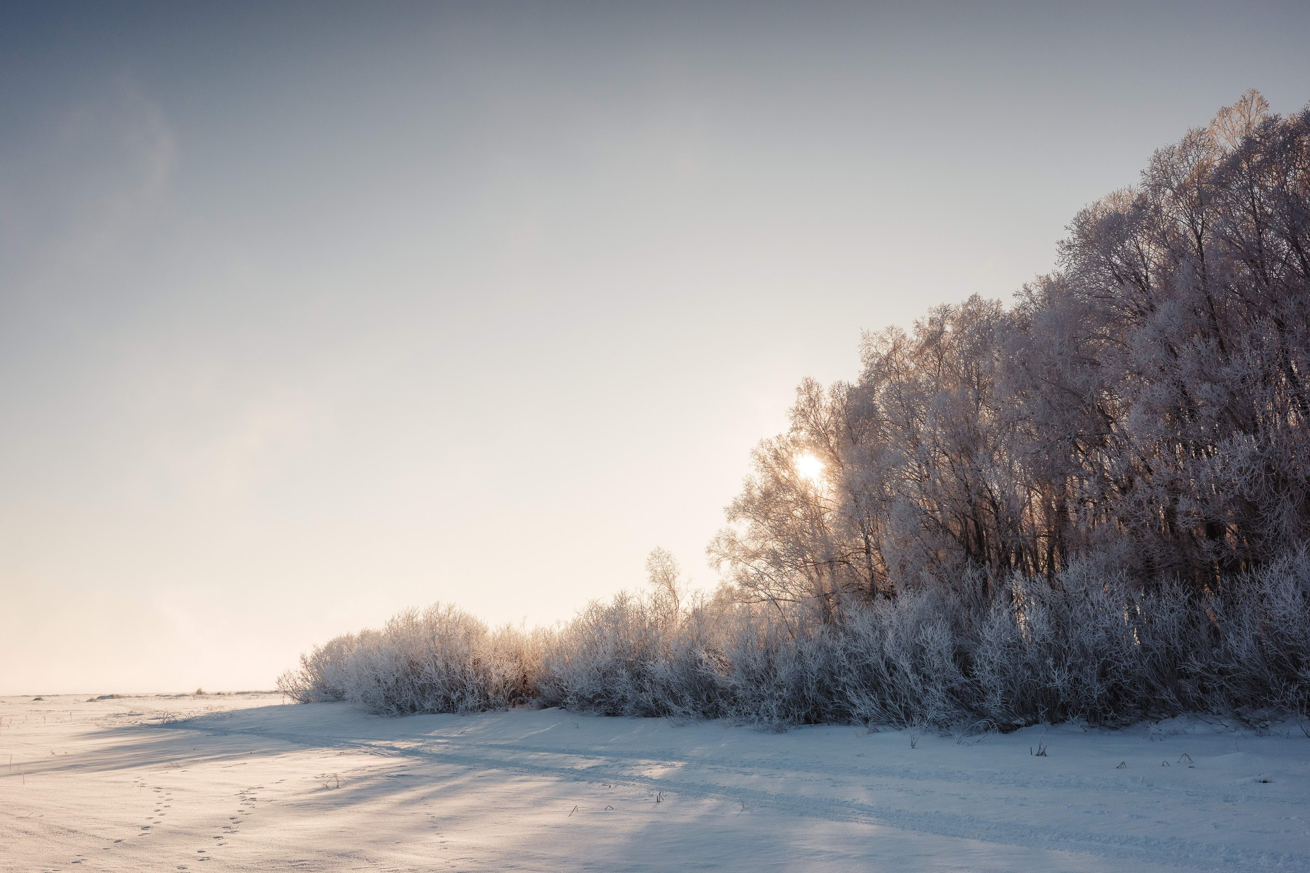 2024.01. Фотограф Алексей Алексеев