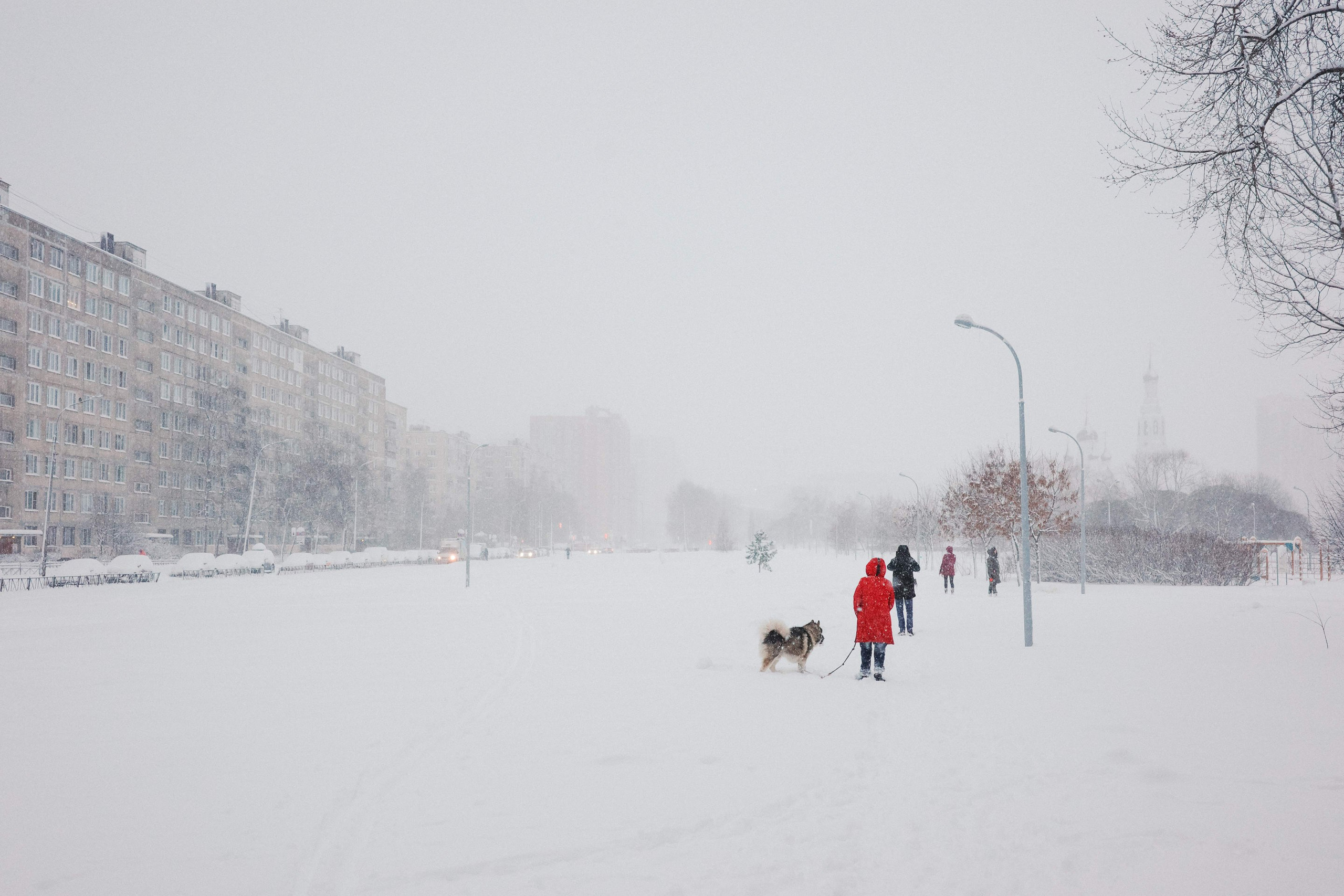 2025.01. Фотограф Алексей Алексеев