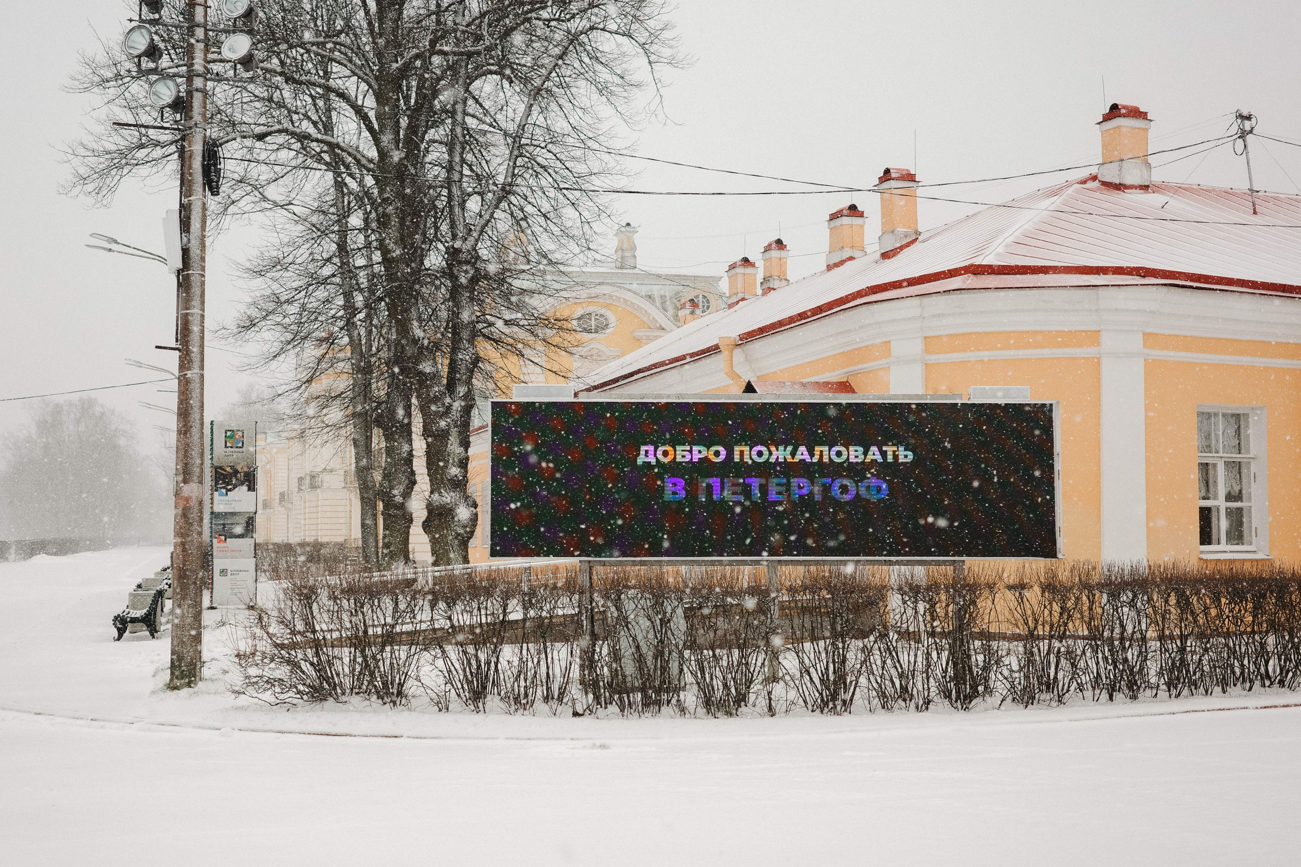 2025.02. Фотограф Алексей Алексеев