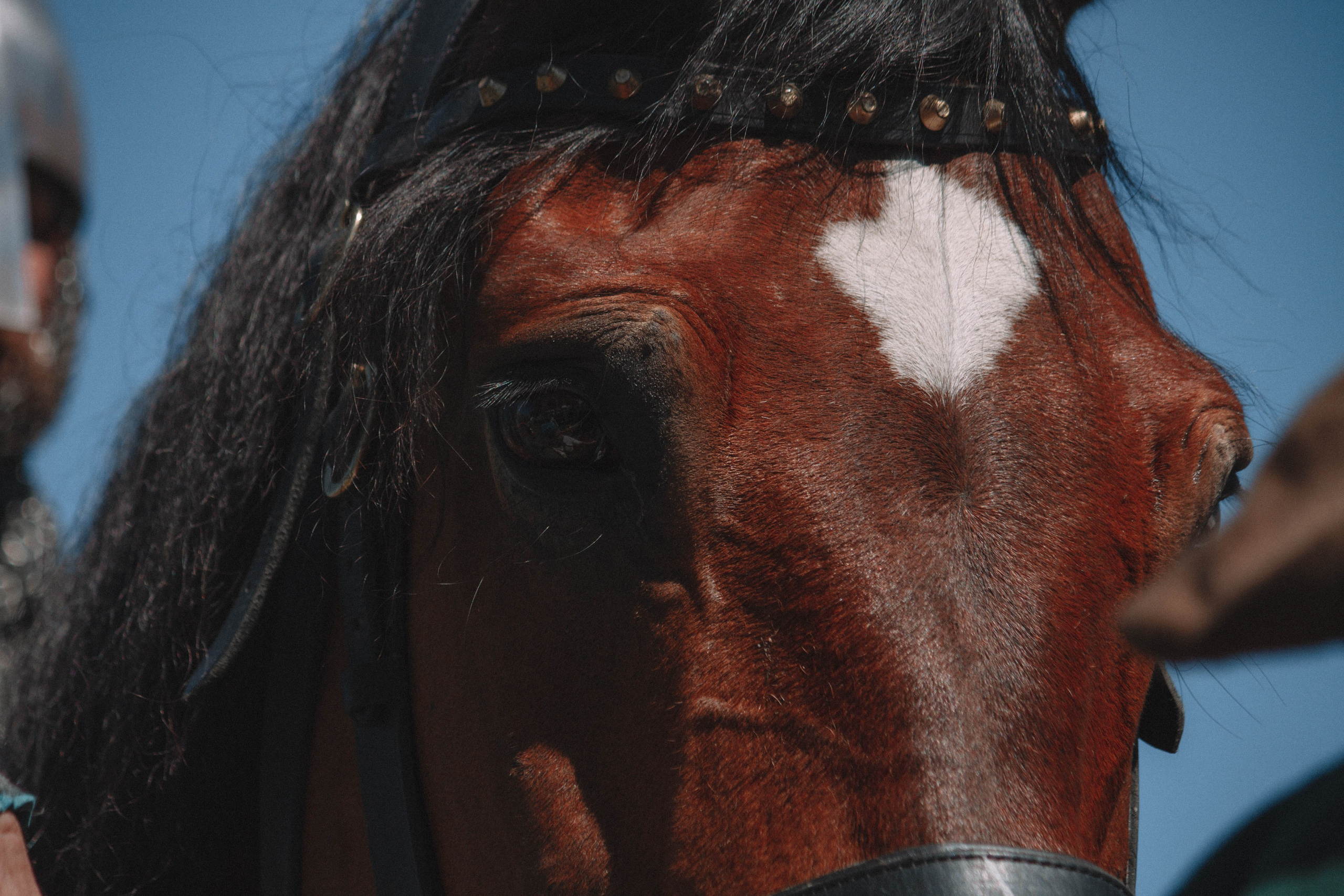 СТАРАЯ ЛАДОГА — Историко-культурный фестиваль. Создадим шедевр? Виталина и её фотоискусство