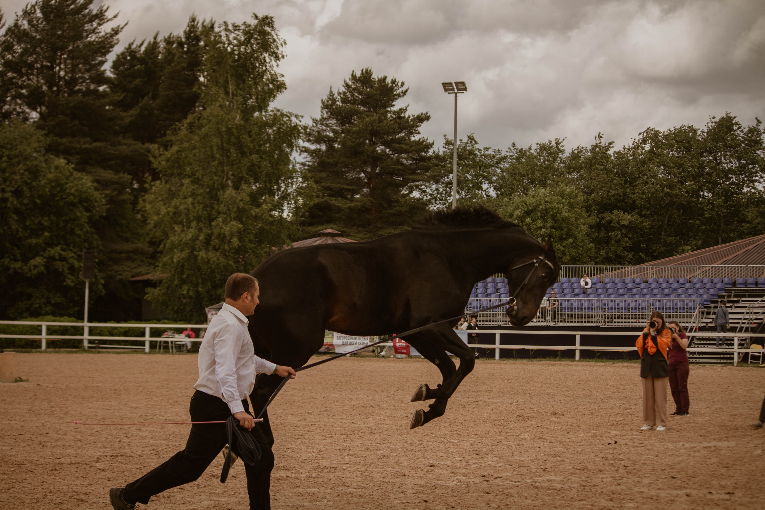 ИППОСФЕРА — Международная конная выставка. Создадим шедевр? Виталина и её фотоискусство