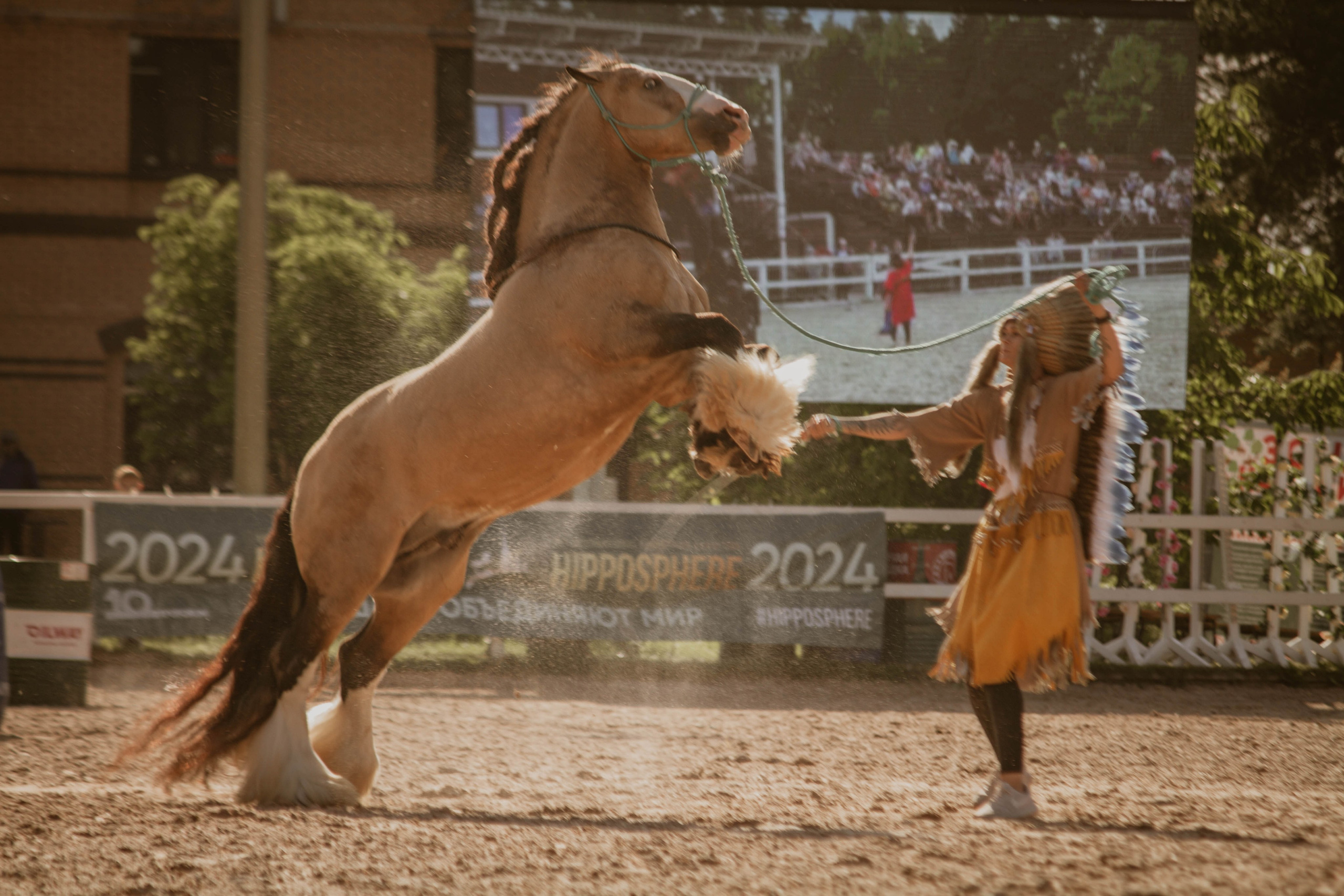 ИППОСФЕРА — Международная конная выставка. Создадим шедевр? Виталина и её фотоискусство
