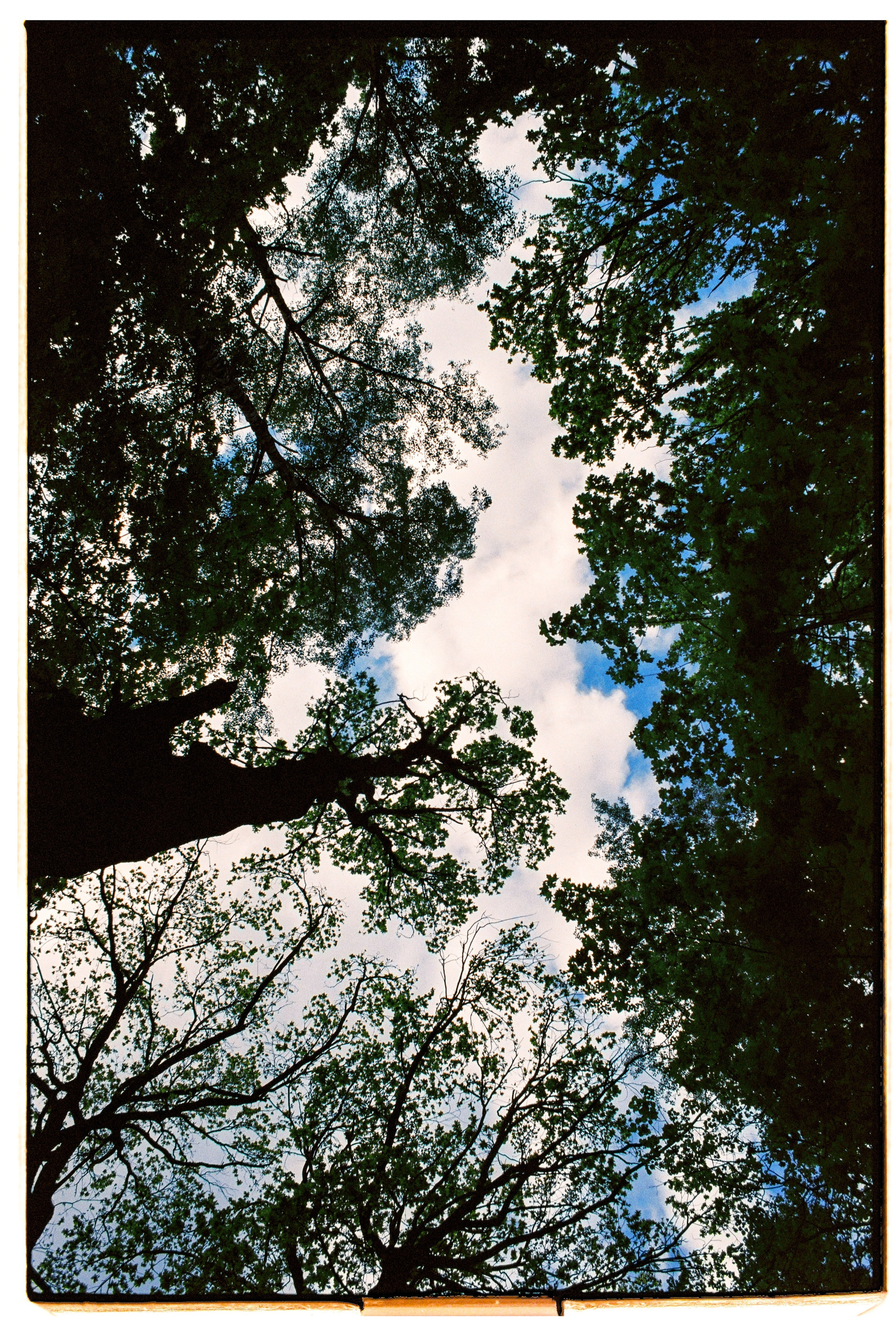 Great time with my family. Никита Демидов. Nikita Demidov