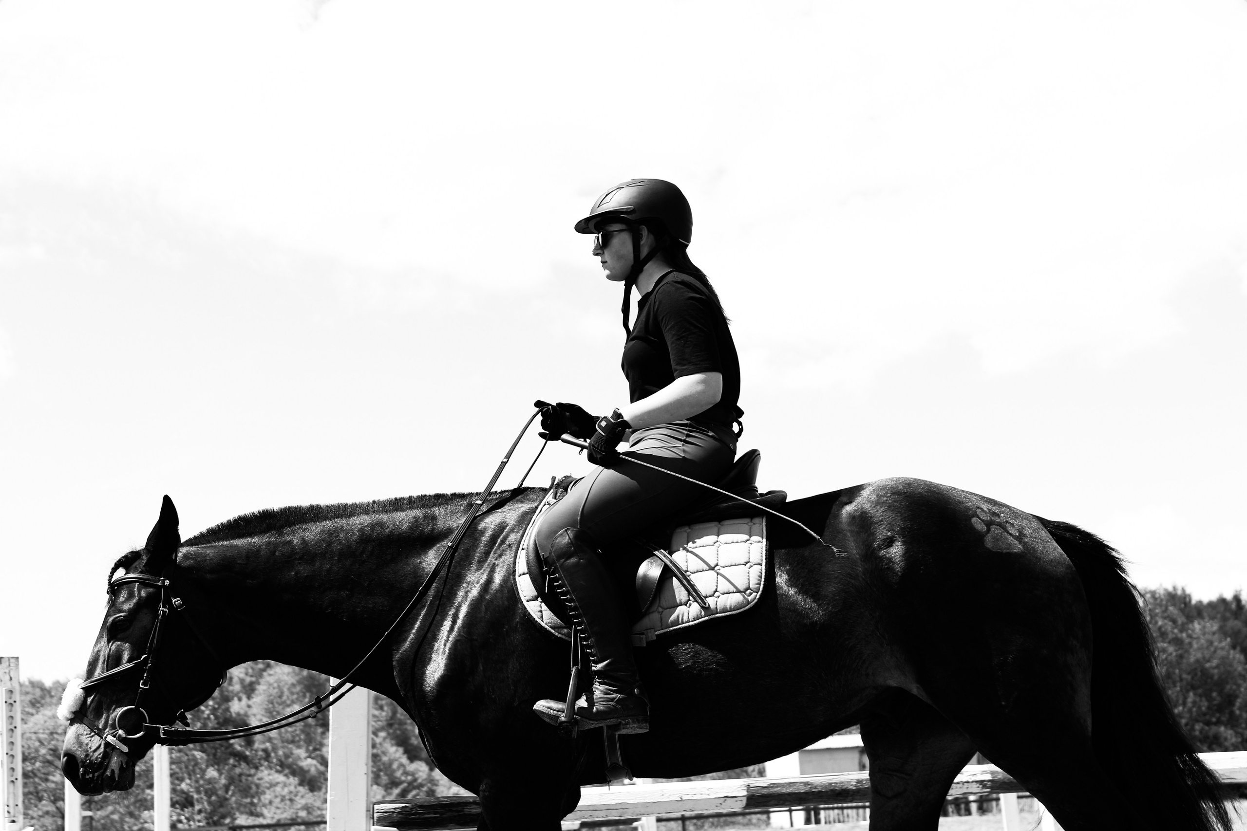 Лошади «Каскад» и «Брилиант». Алиса Томшина — Фотограф / Видеограф