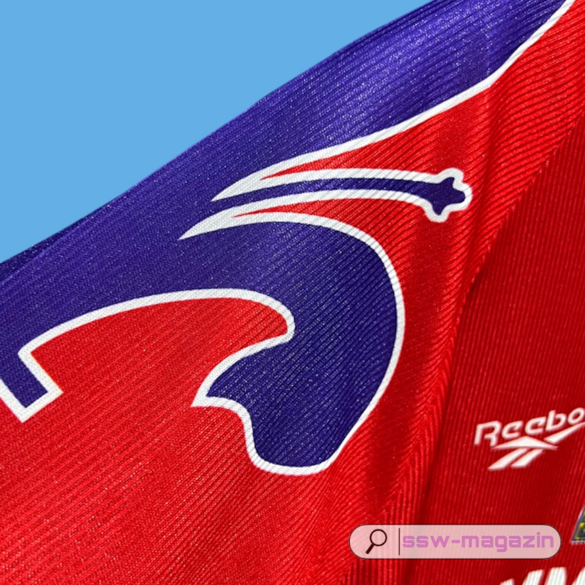 Футболка Florence 1995-1996. Футбольный магазин — ssw_magazin