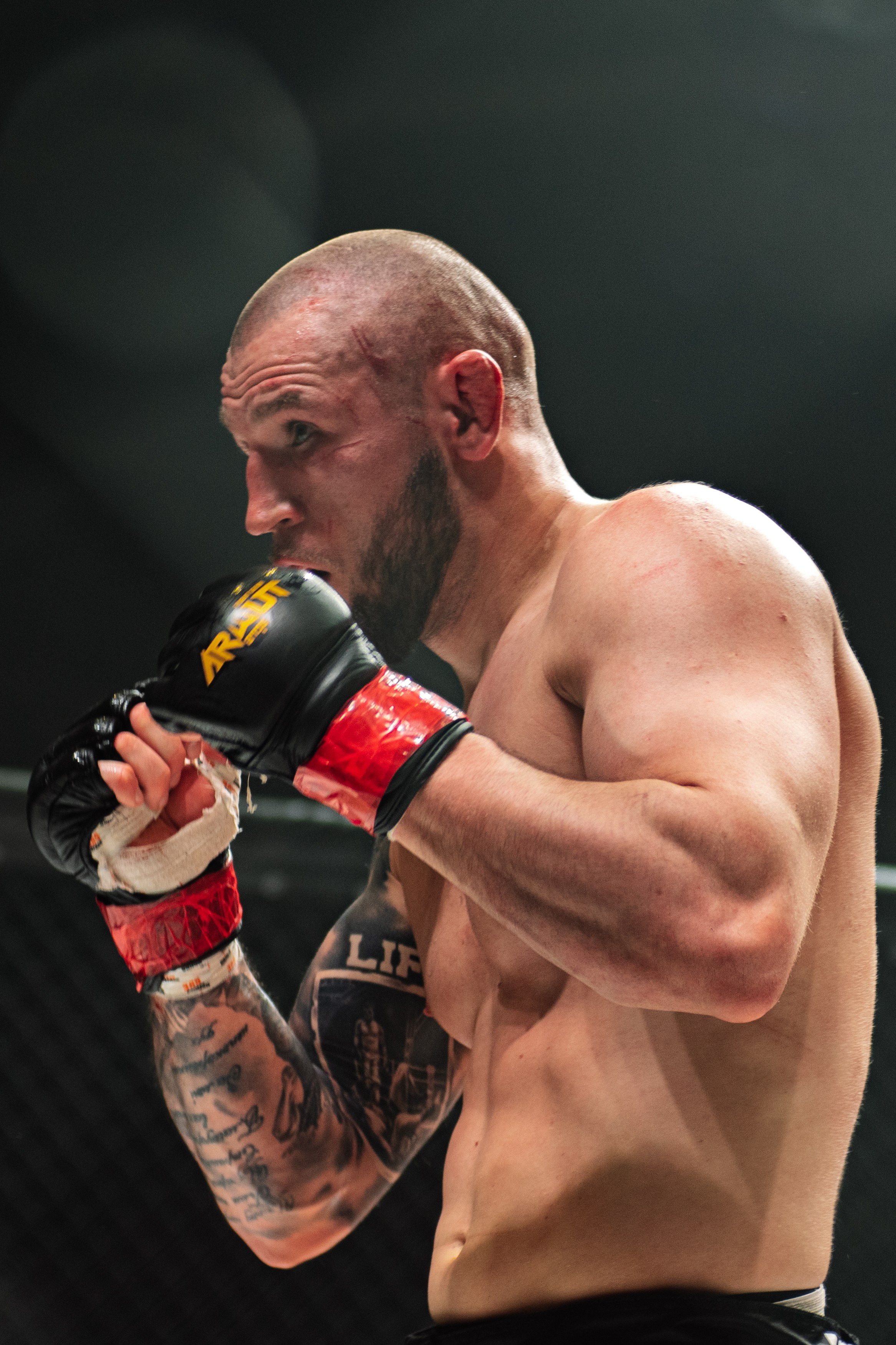 Miroslava Fight