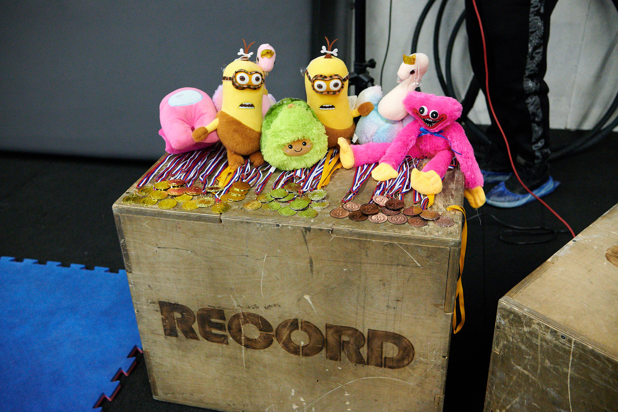 Соревнования по воздушным полотнами и акробатике 29.11.2022