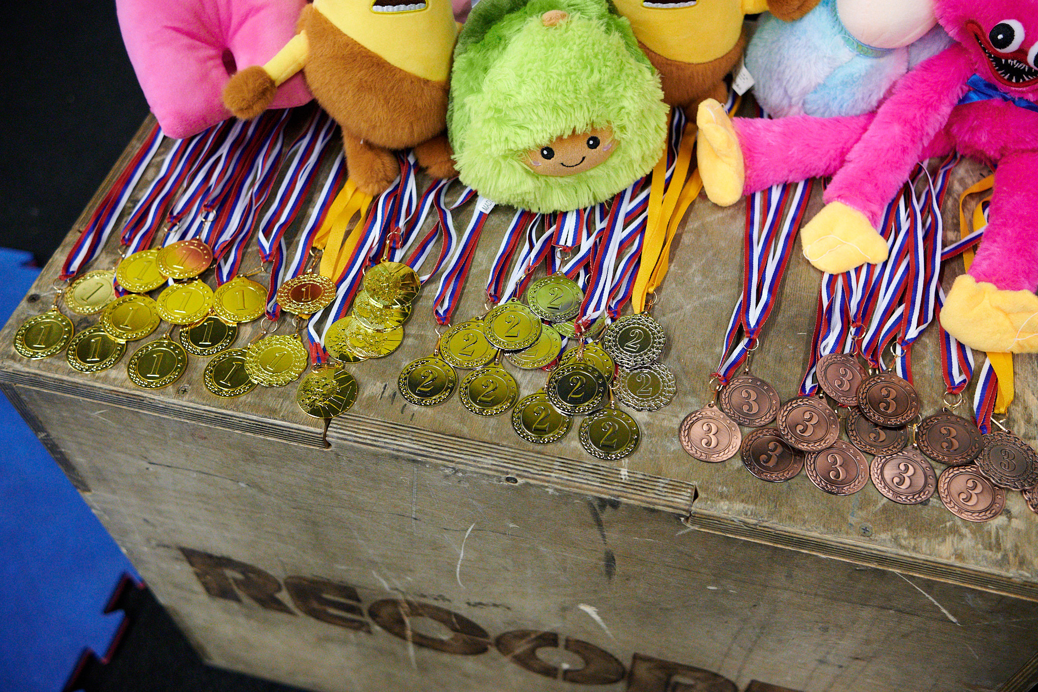 Соревнования по воздушным полотнами и акробатике 29.11.2022