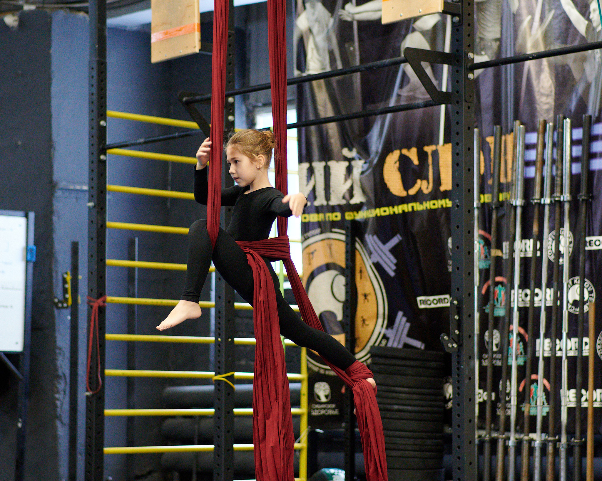 Соревнования по воздушным полотнами и акробатике 29.11.2022