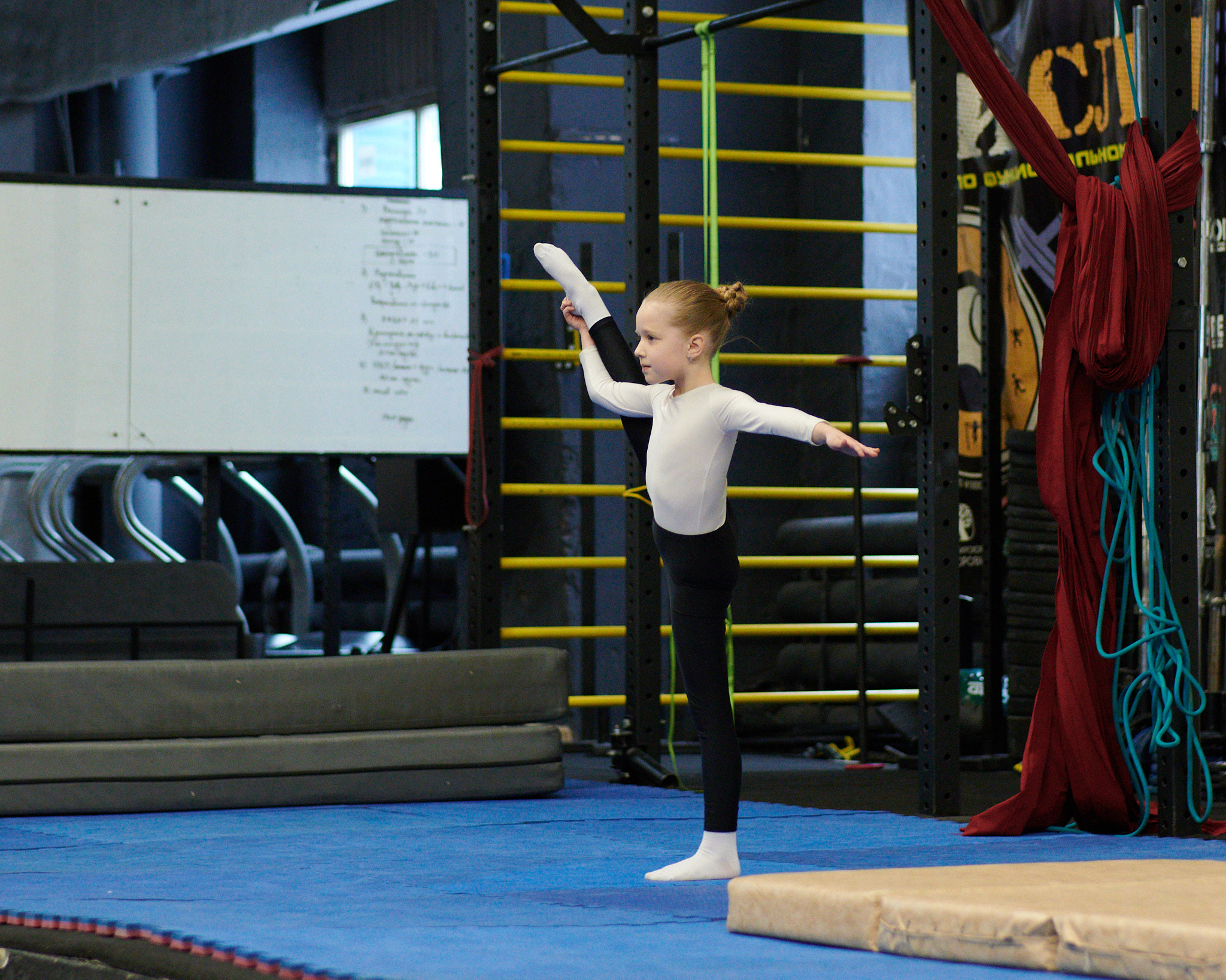 Соревнования по воздушным полотнами и акробатике 29.11.2022