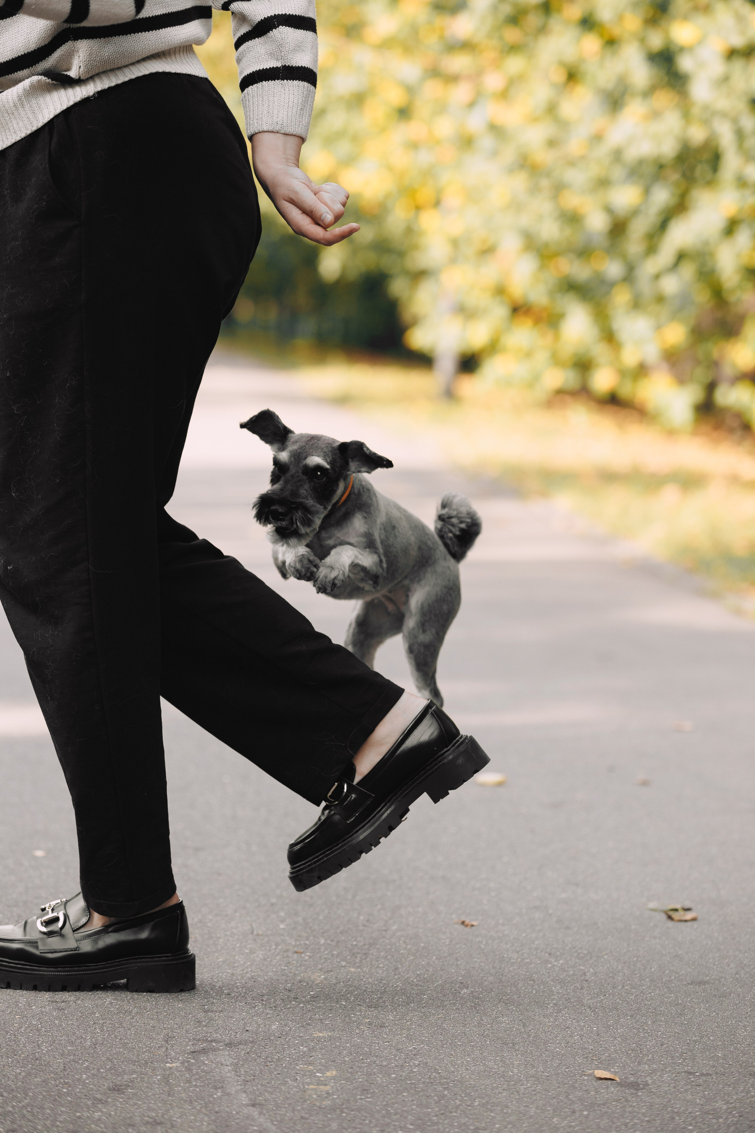 Оля и компания. Фотограф анималист Кристина Карпова, Москва