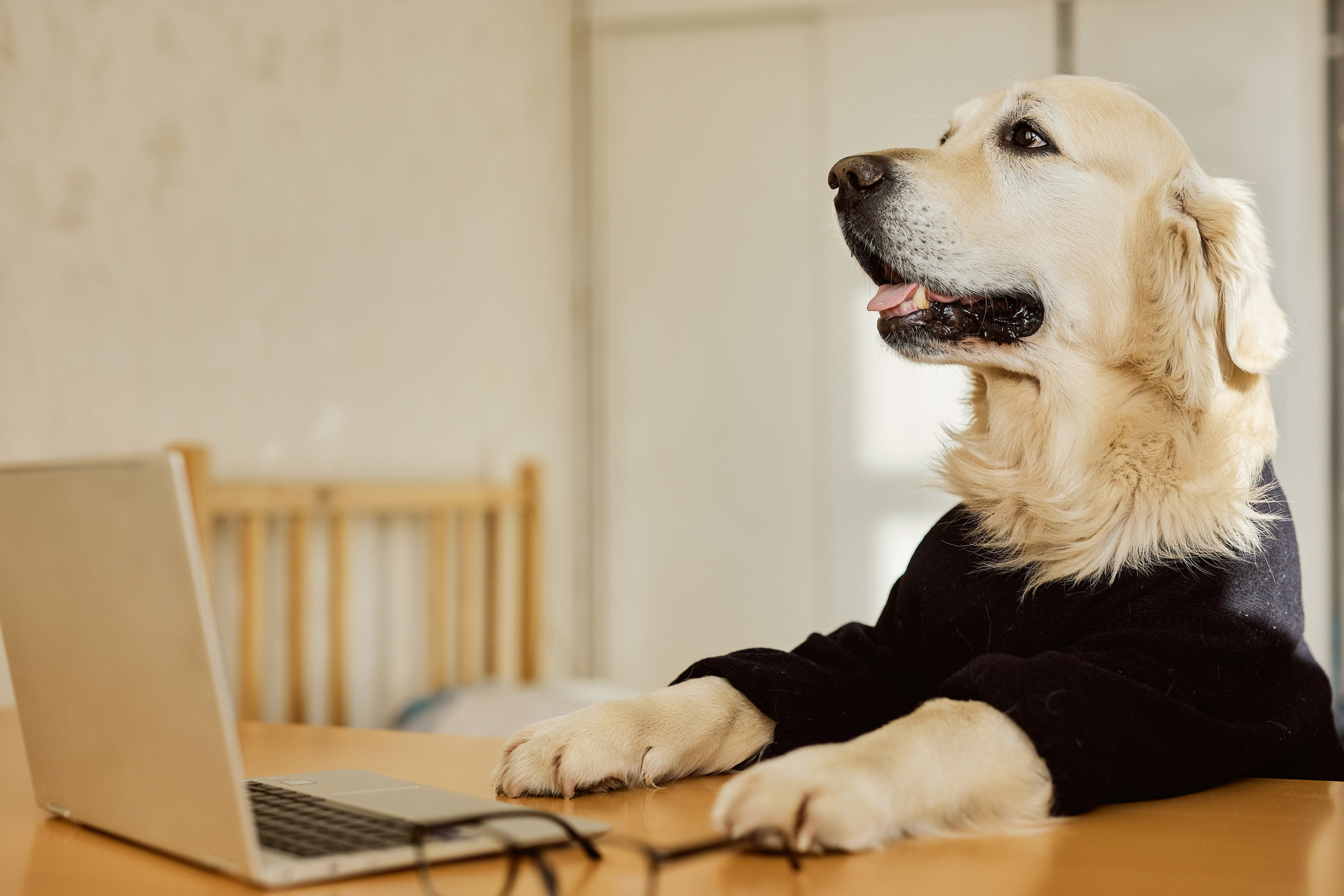 22. Фотограф Недорез Александр в Москве. Репортаж на ваших мероприятиях