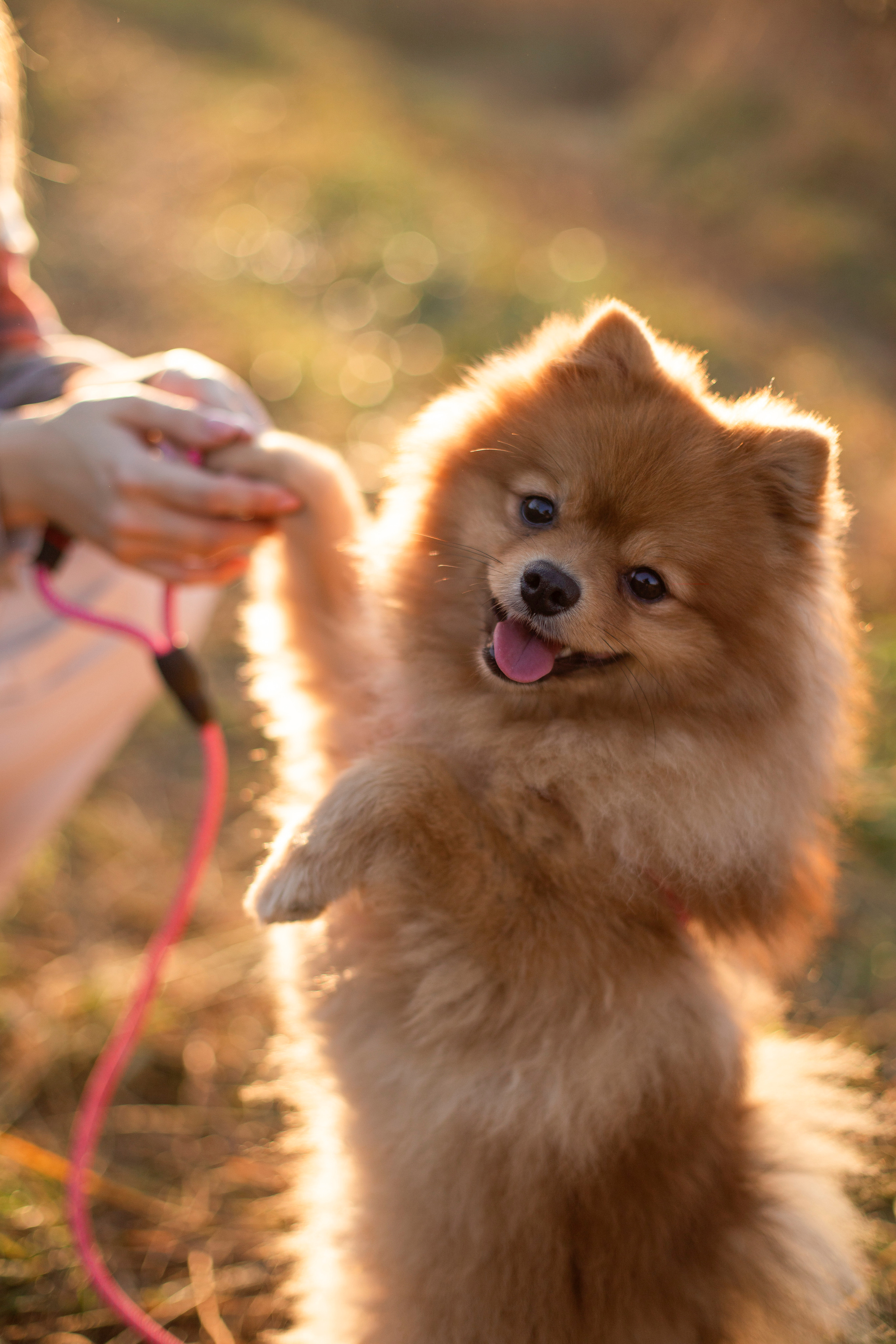 Екатерина. Фотостудия «Арт пространство» в Северском районе