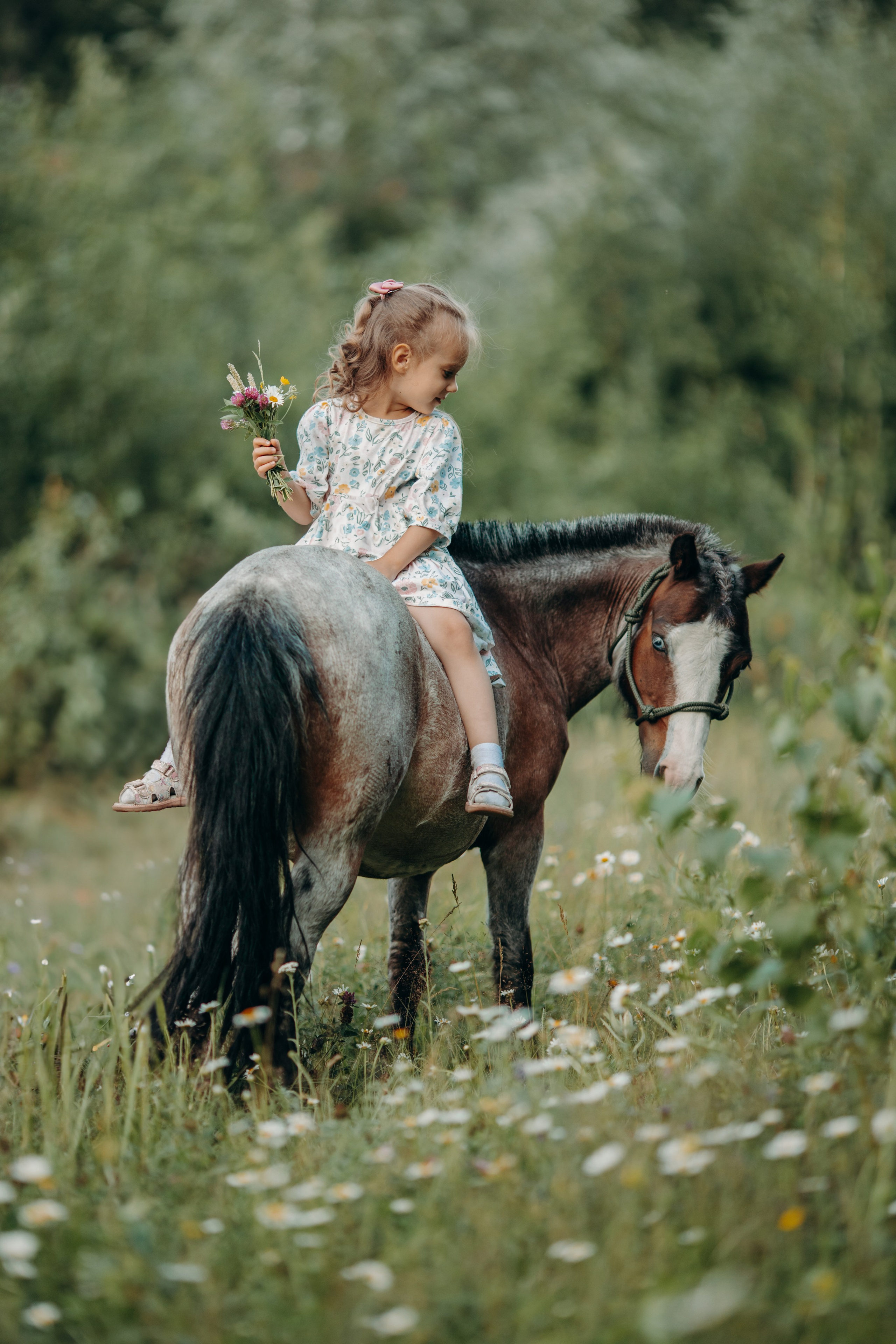 Малышка Вика. Анна Молчанова конный фотограф в Тюмени | фотосессии с лошадьми Тюмень