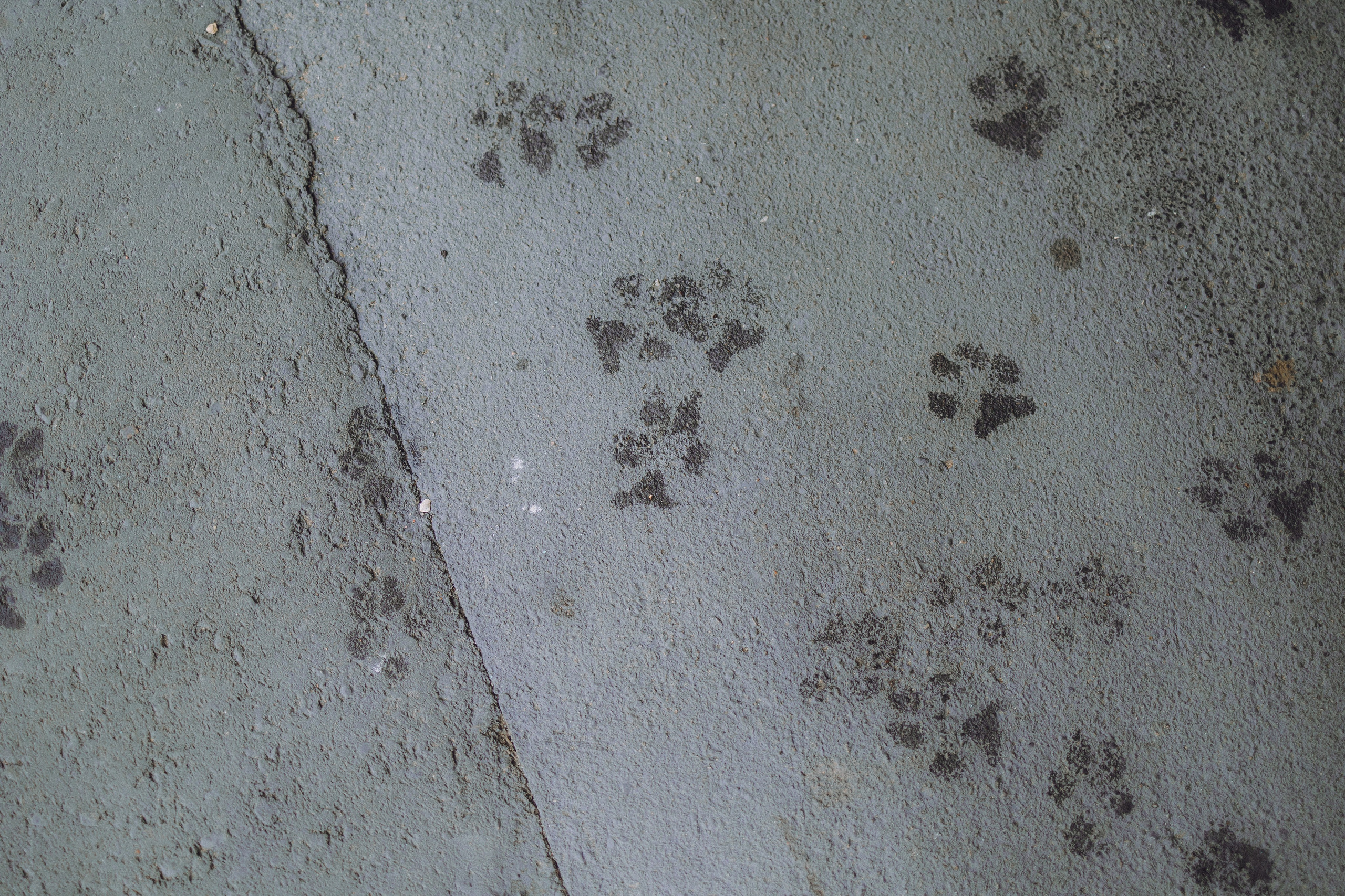 Екатерина и Даня