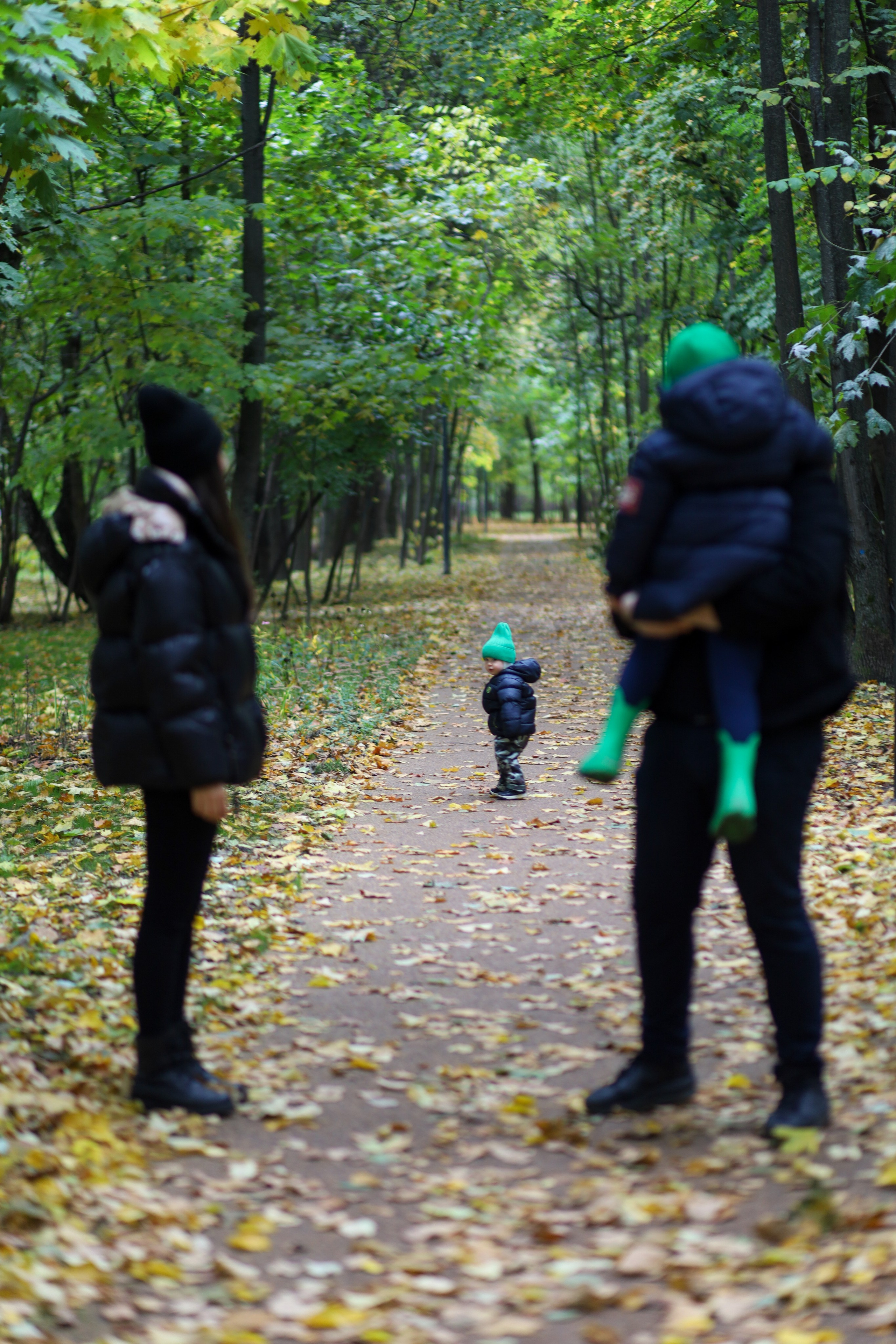 Семейное дерево. Главная