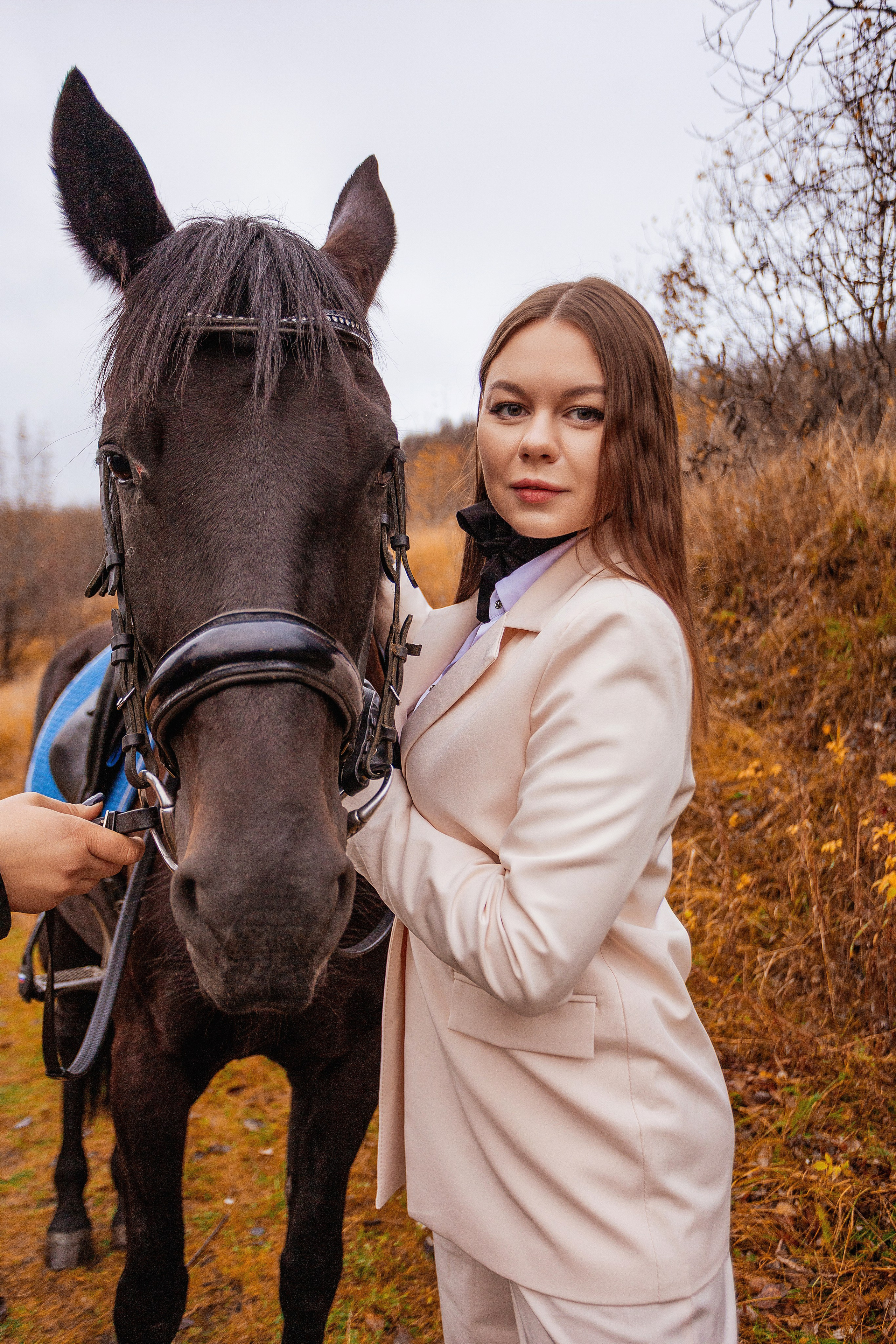 Horses. Фотограф Мурманск Лилия Маер