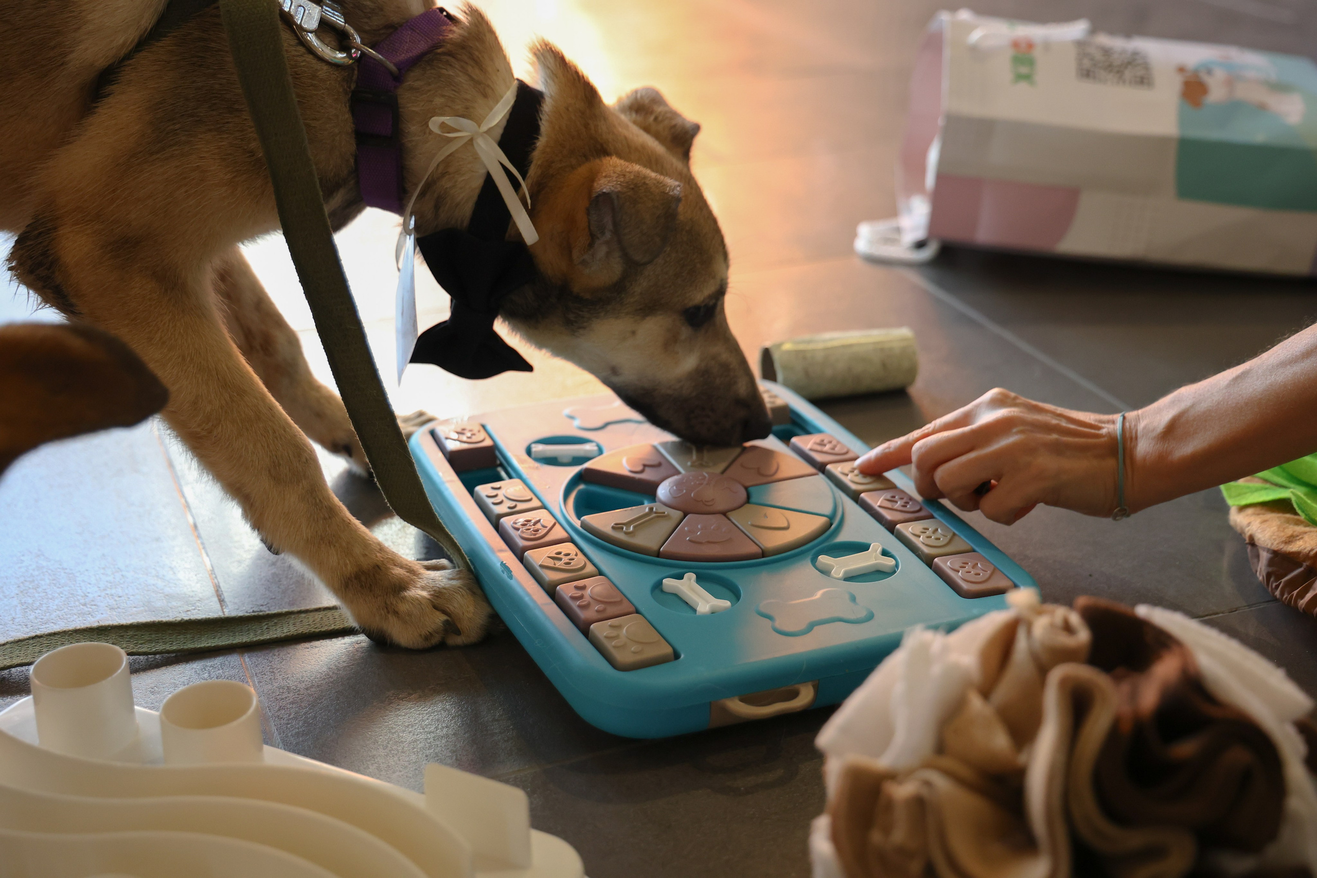 ECO FEST. Фотограф Вадим Бодылев