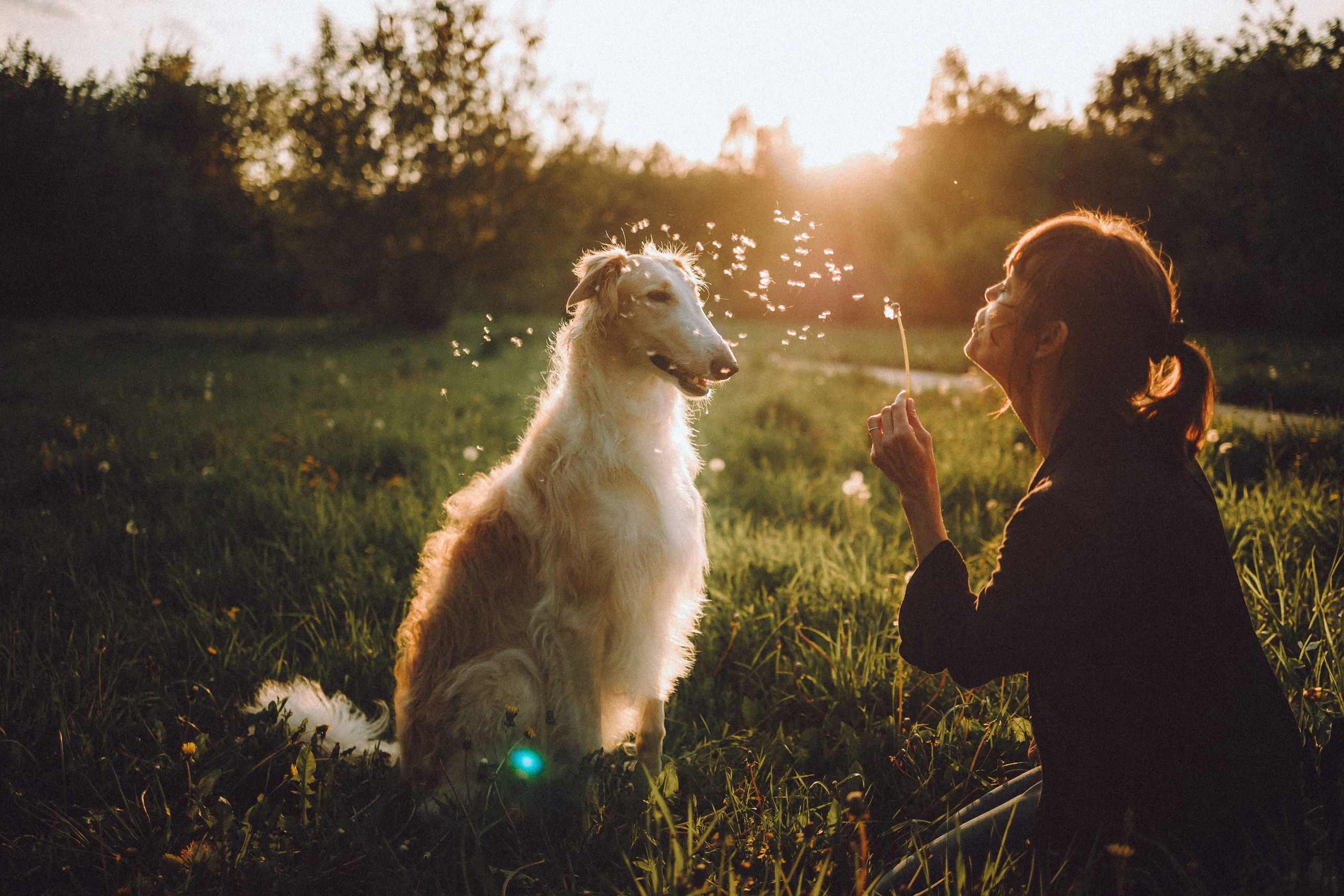 Илай, Зайка и их семья