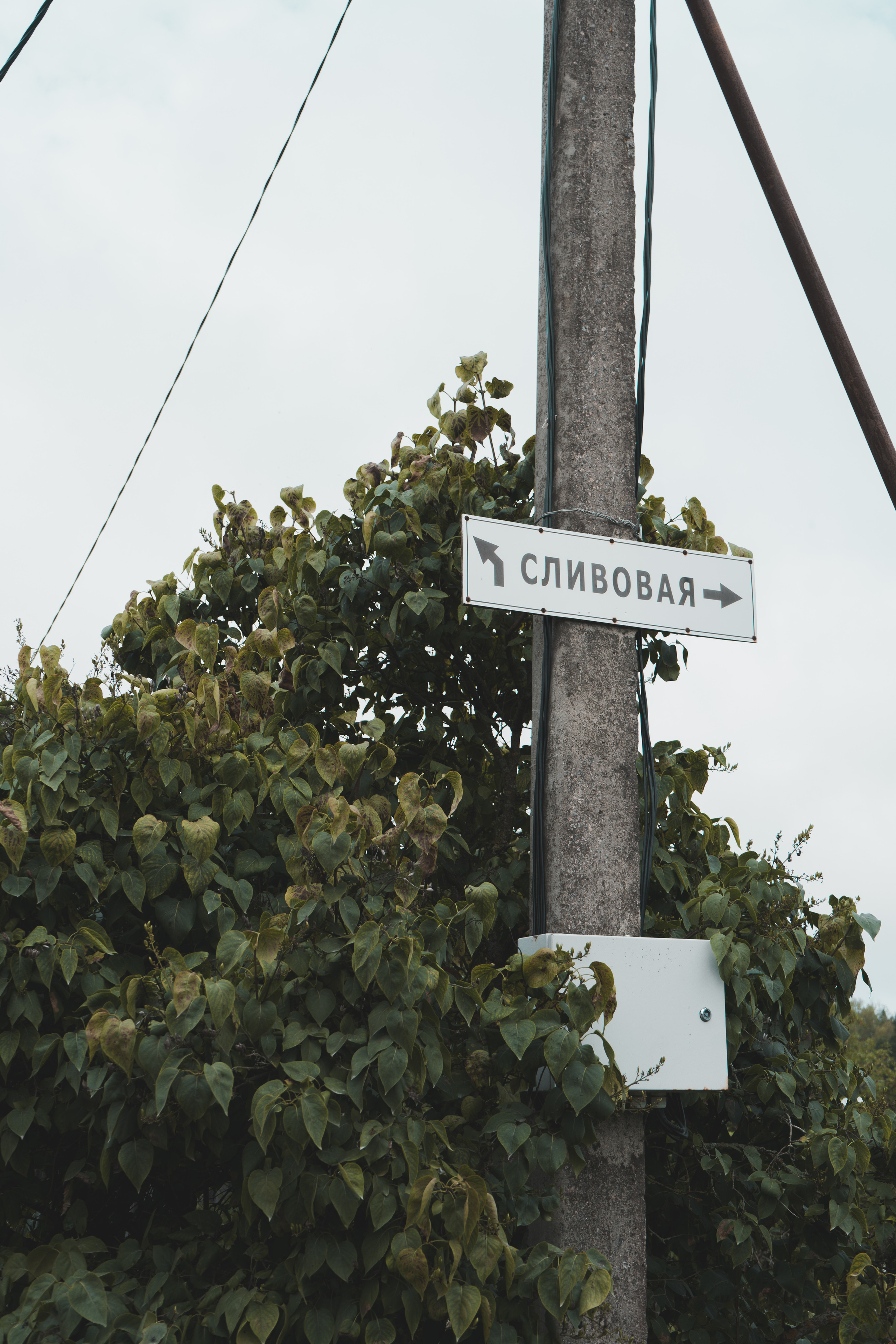 Стрит — фотография в Санкт-Петербурге. Портретный фотограф в Санкт-Петербурге Дори Милиева