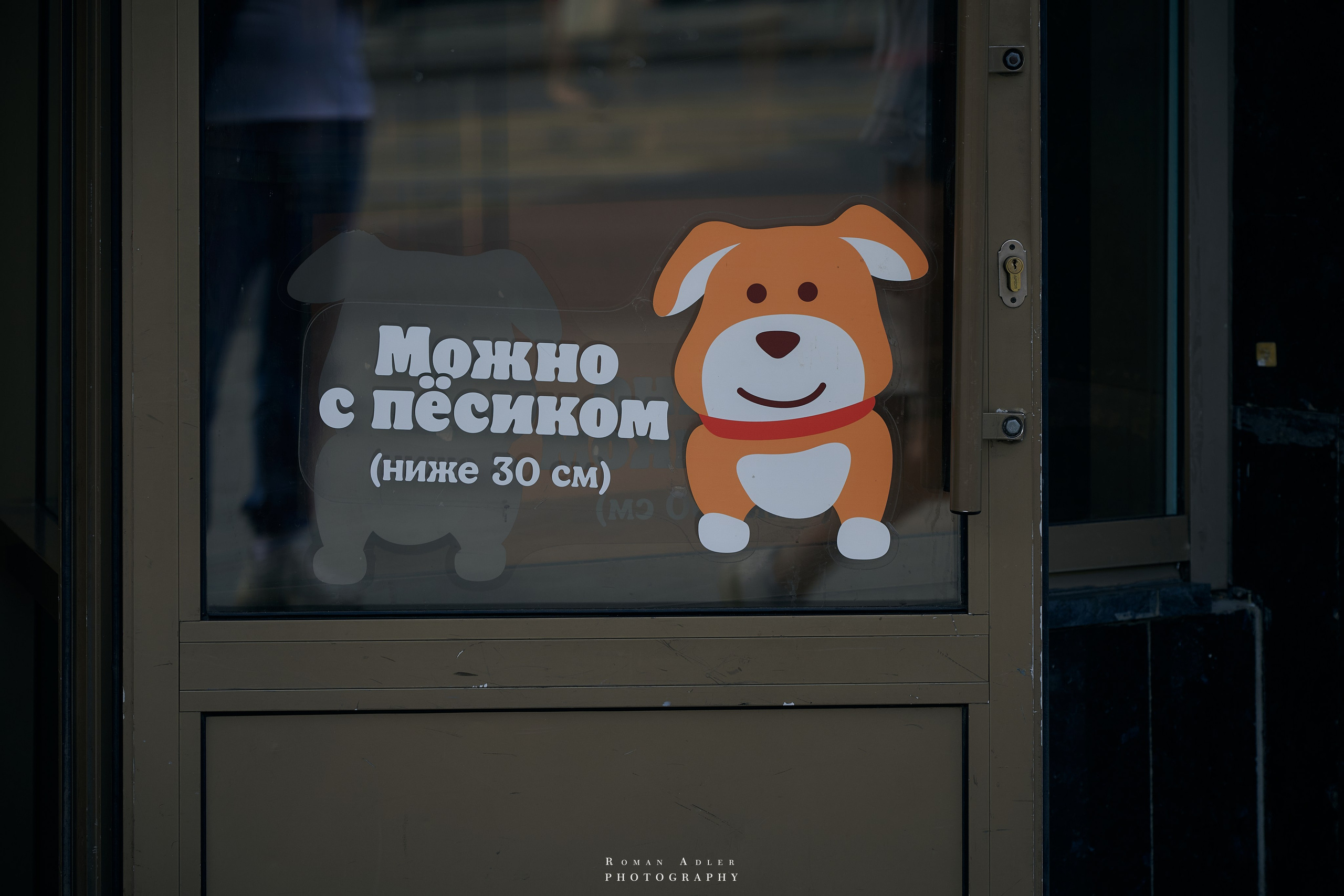 Воронеж. Август 2024. Фотограф Роман Адлер