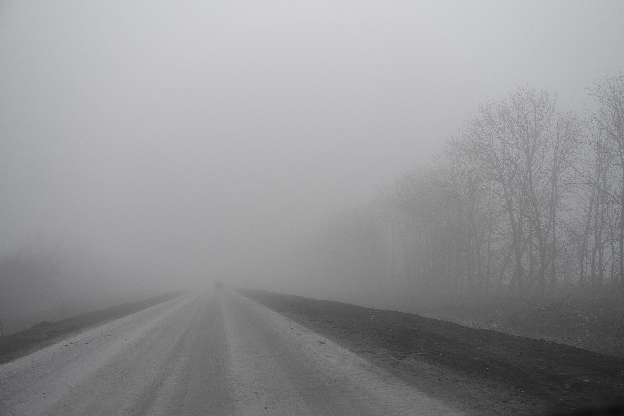 Дорога домой. Туман. Фотограф Роман Адлер