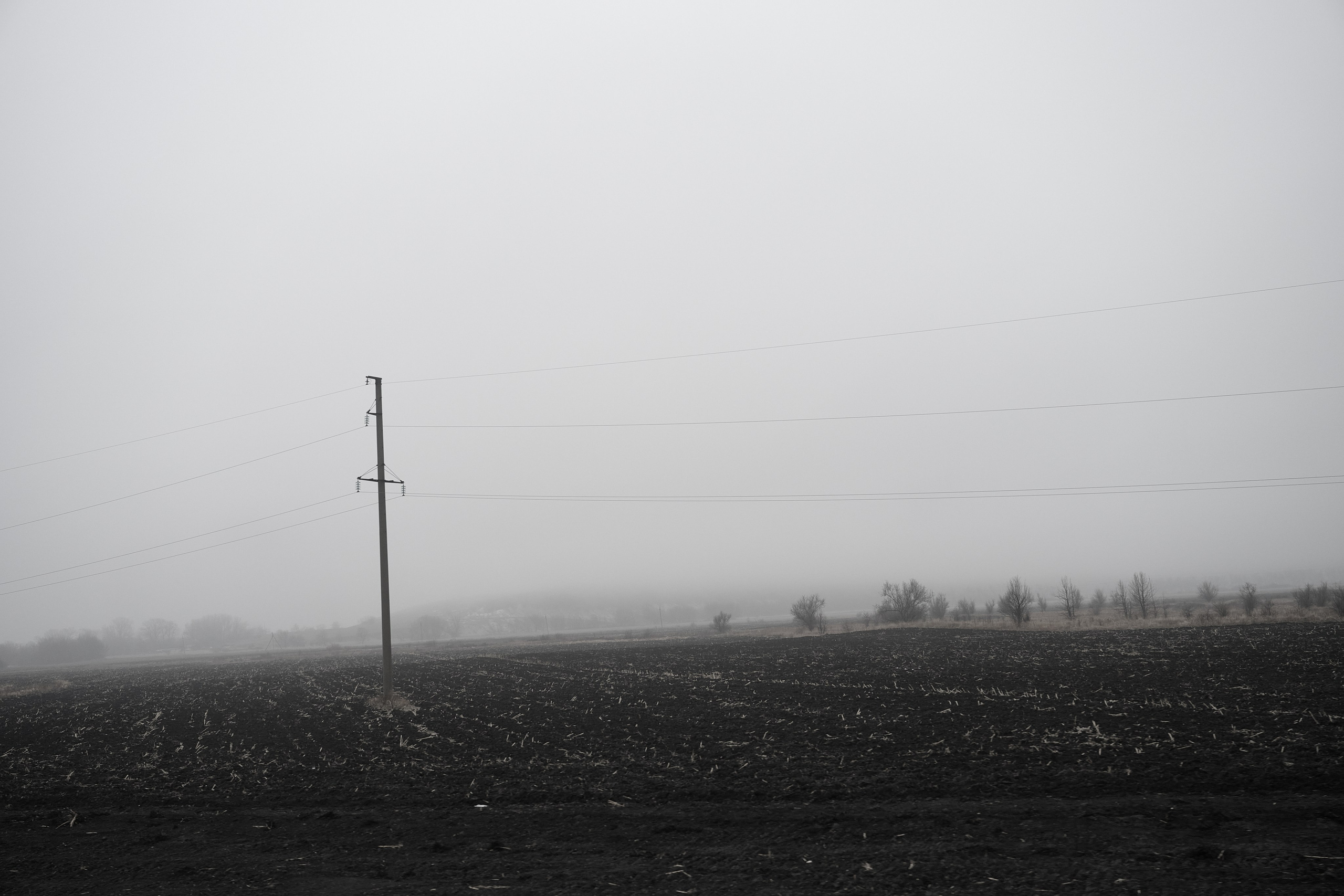 Дорога домой. Туман. Фотограф Роман Адлер